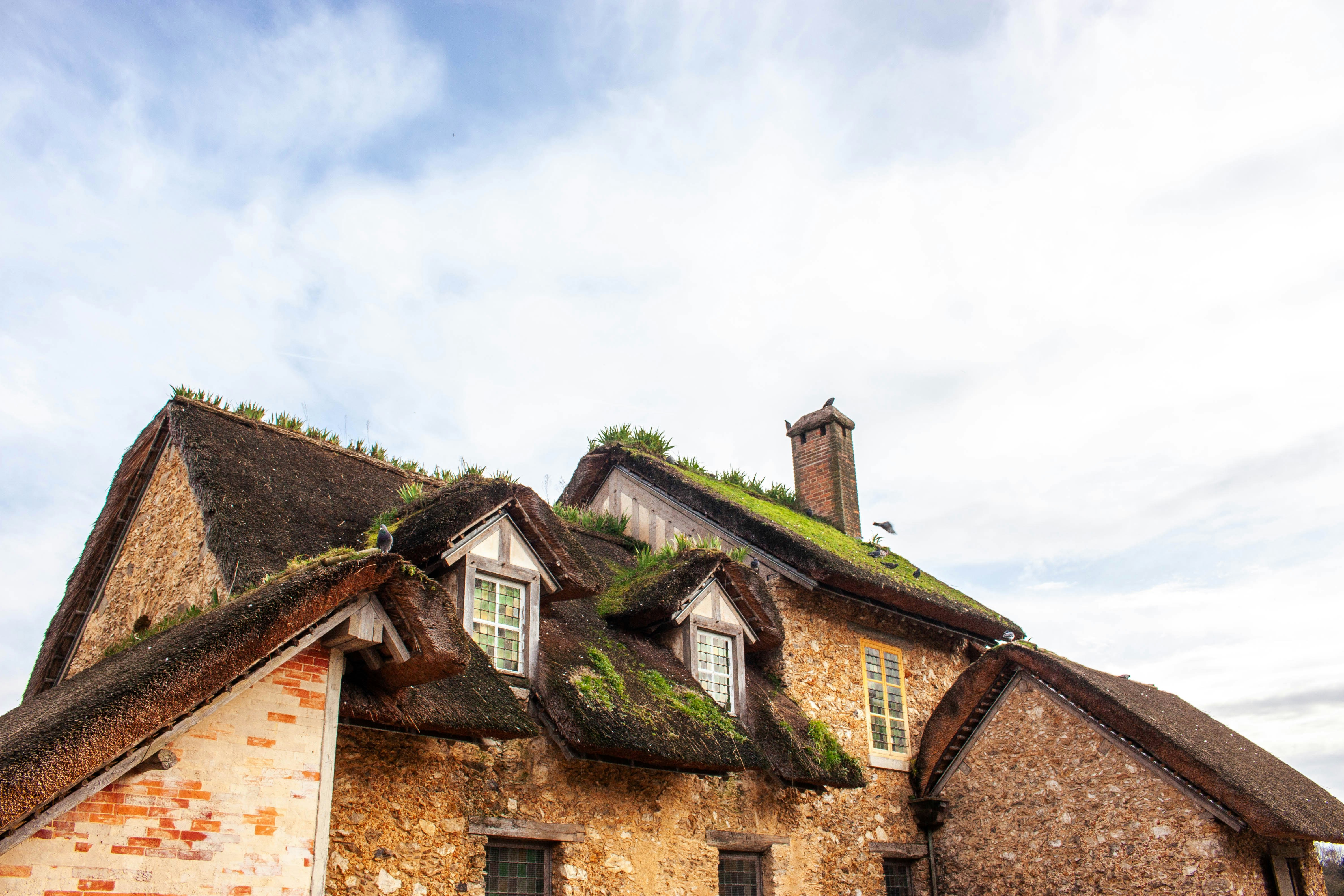 Photo by kamillaisalieva