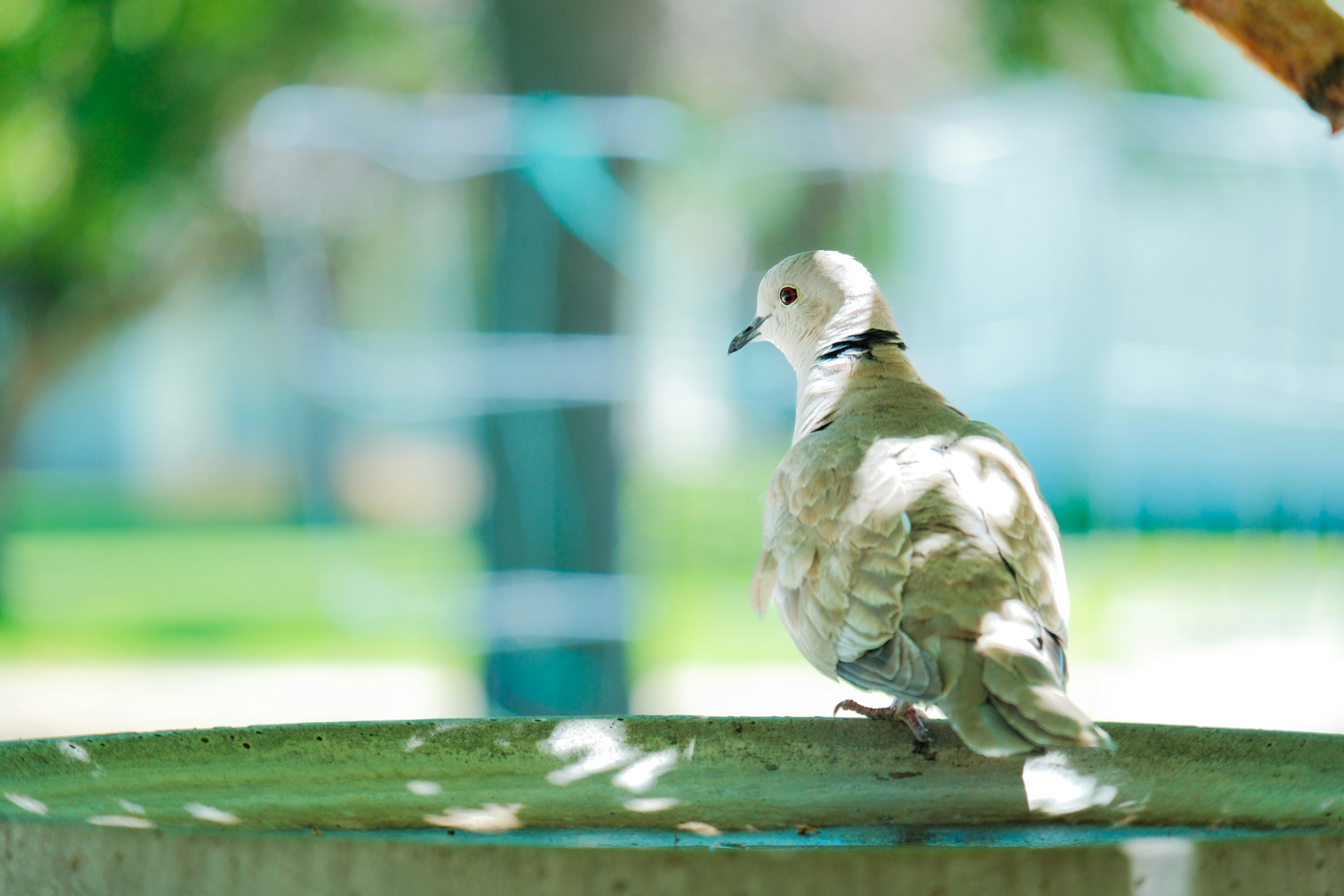 Photo by consoledotlog