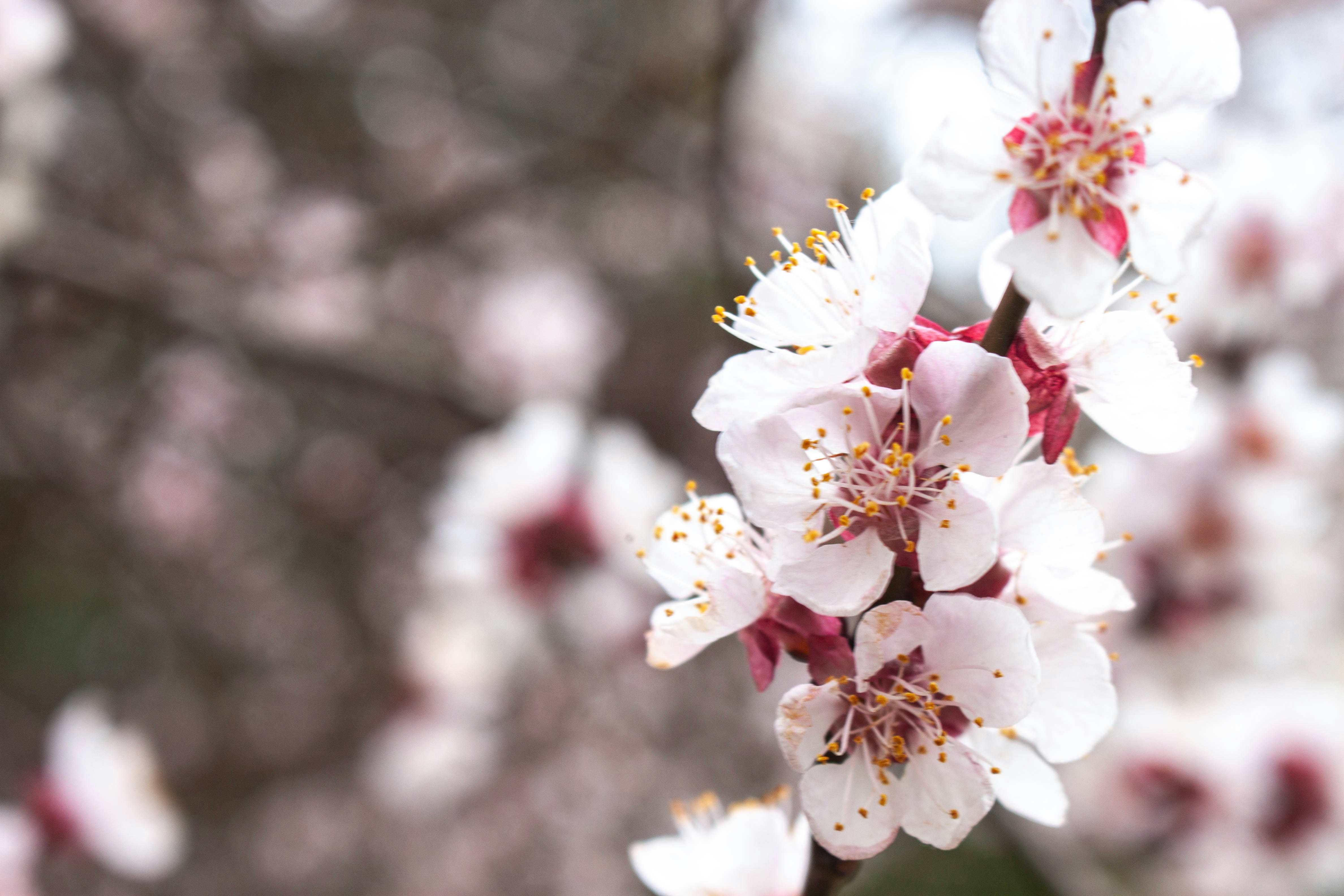 Photo by kamillaisalieva