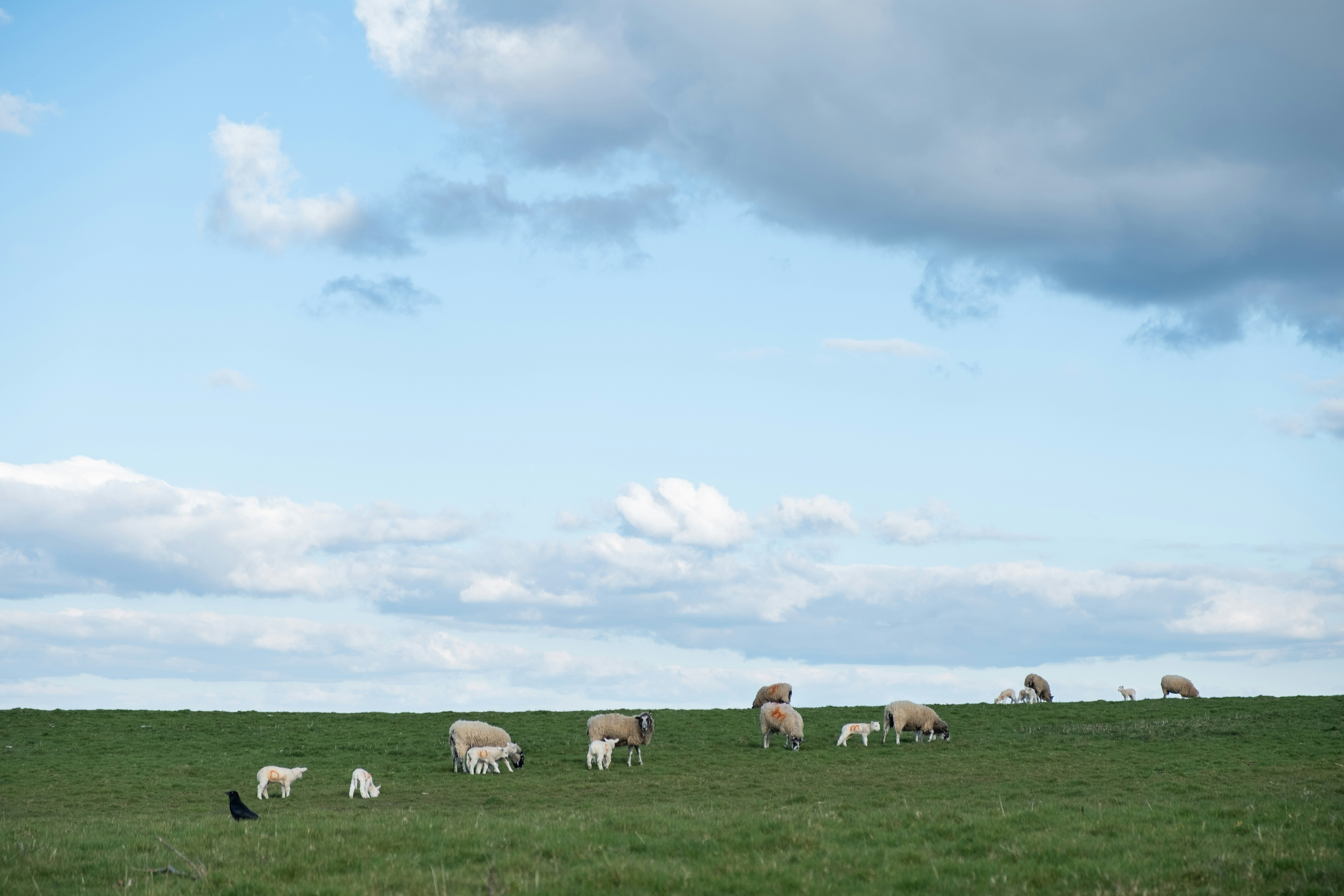 Photo by veronicaa_white