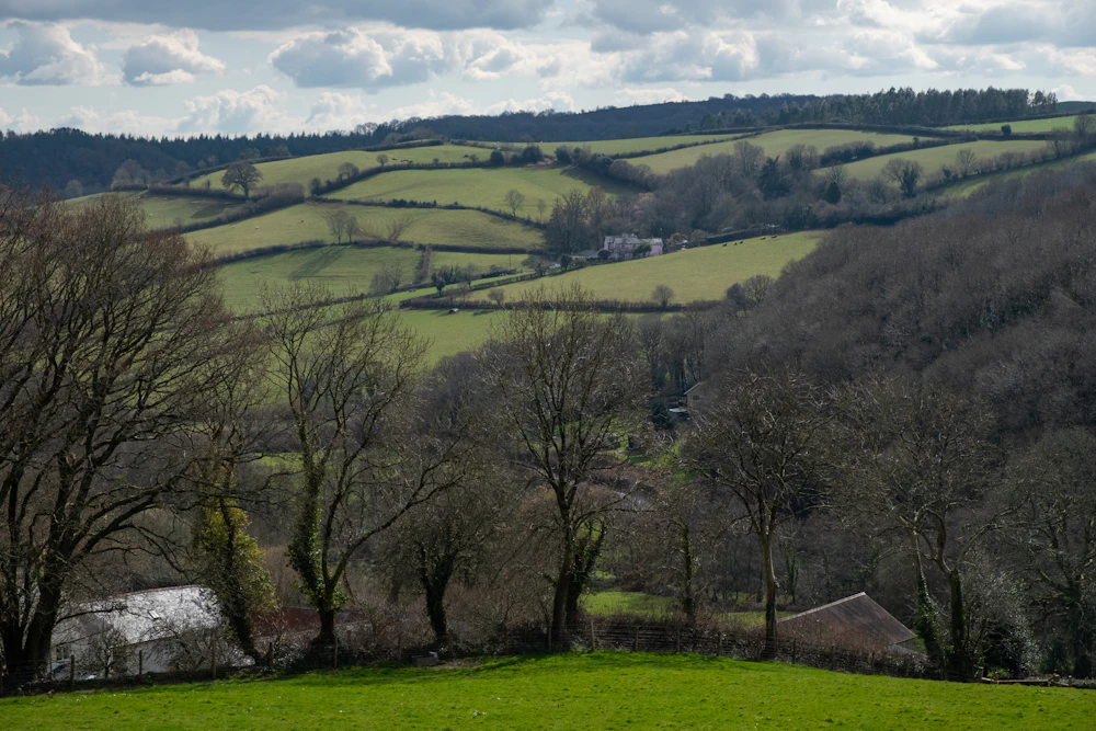 Country road through open fields