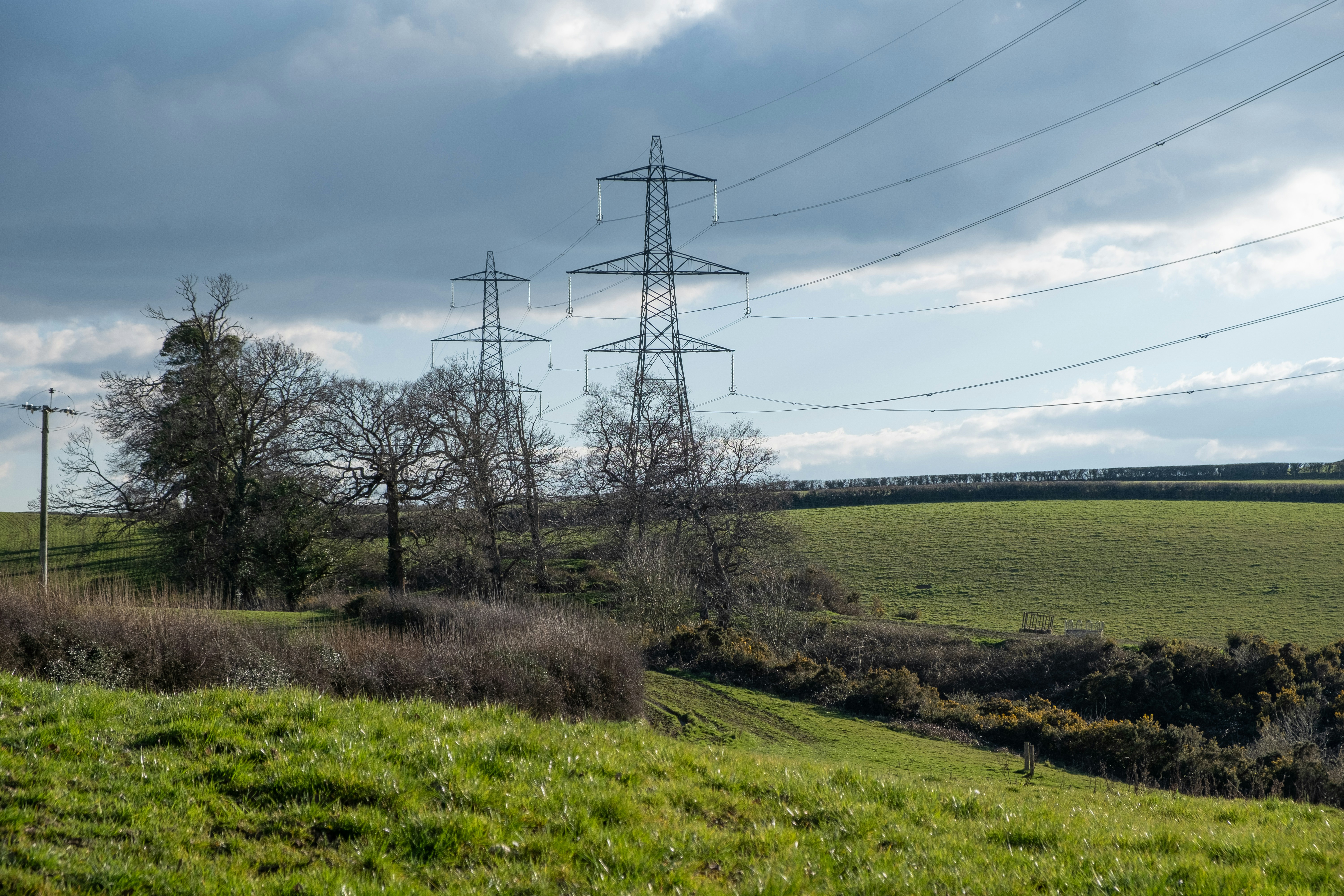 Culture and Environment: Pylons, Shakespeare, Hawkins's Ghost