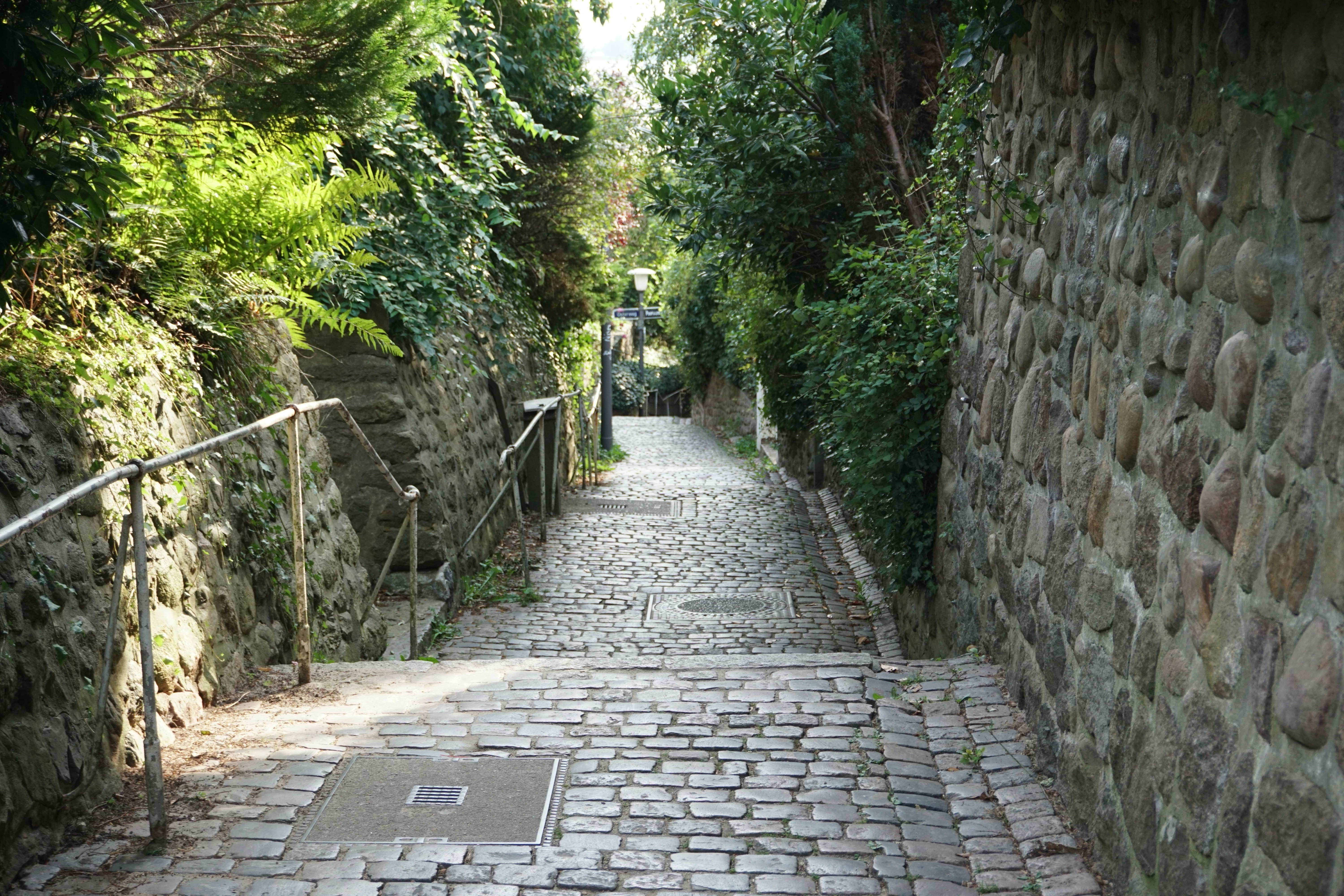 Photo by ingo_scheffer