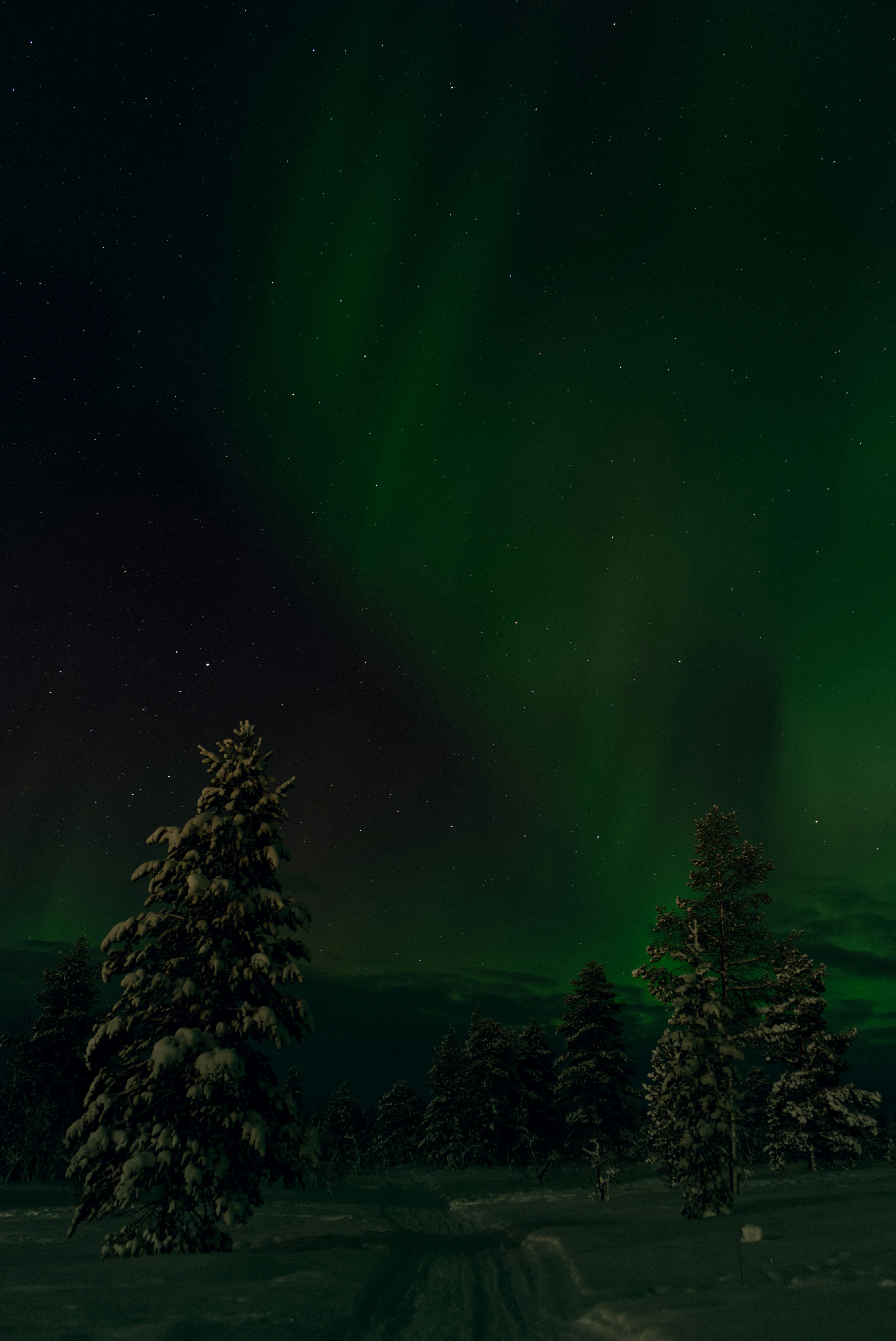 Aurora borealis dances in the night sky.