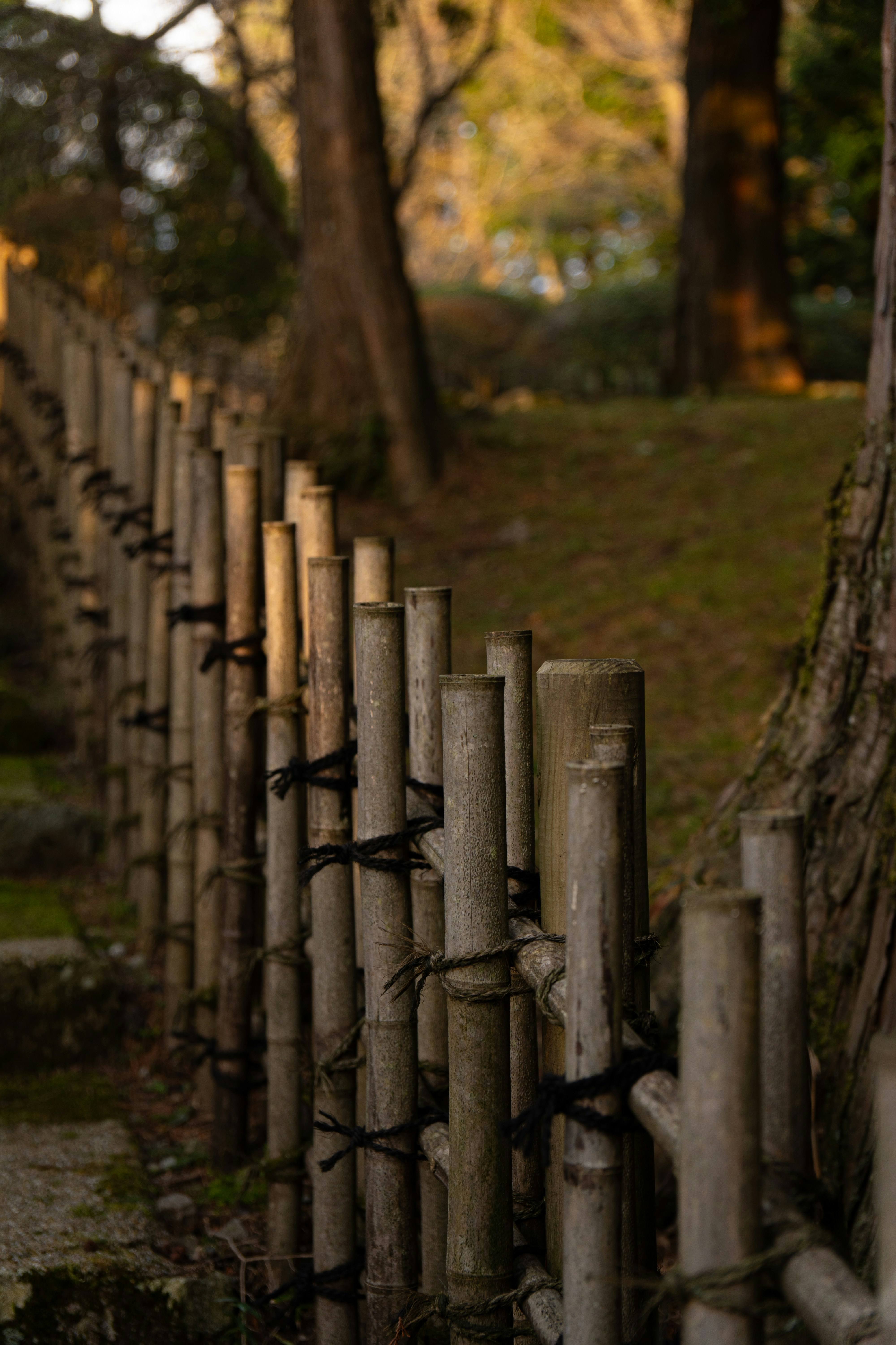 Photo by marcovockner