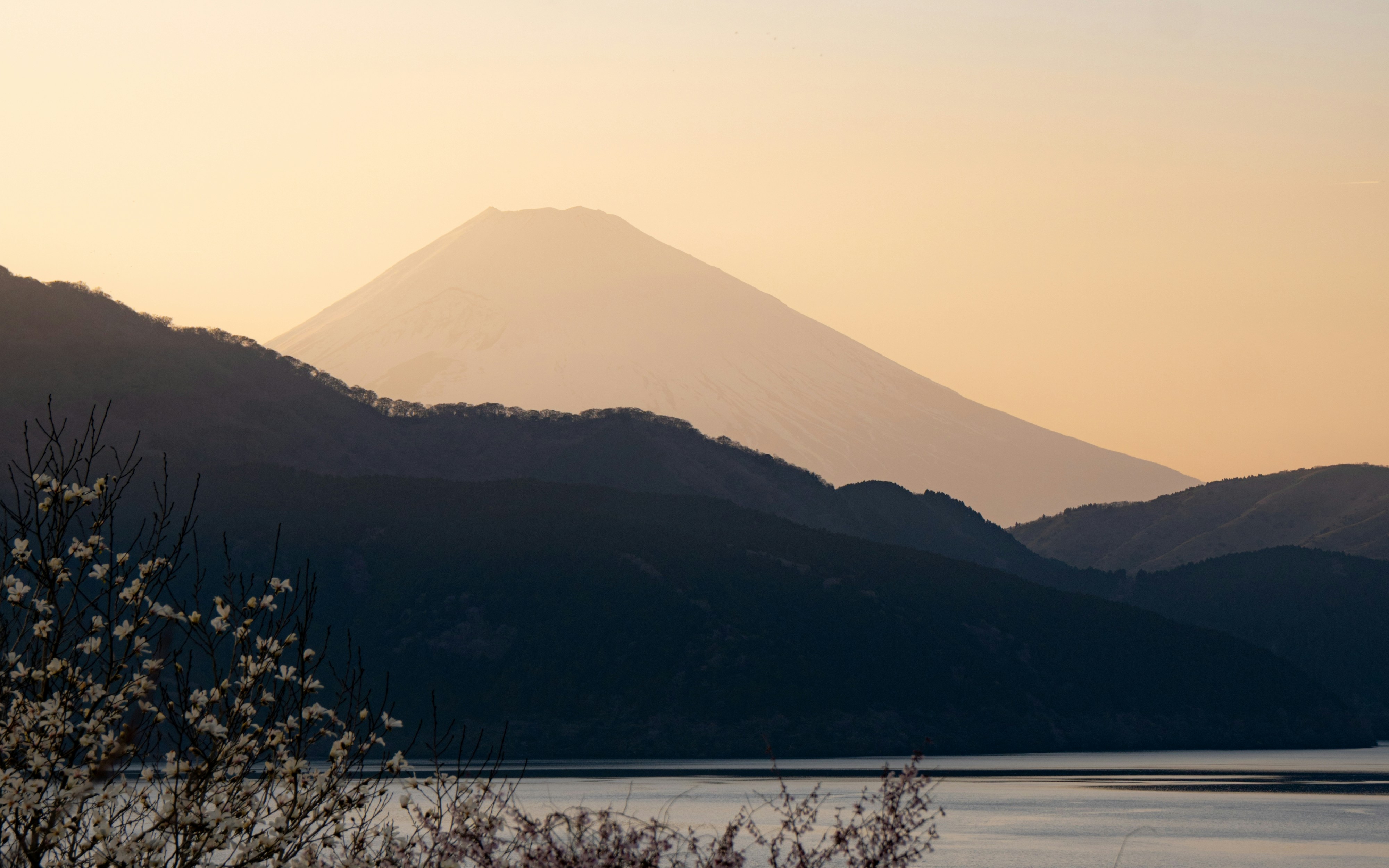 Photo by marcovockner