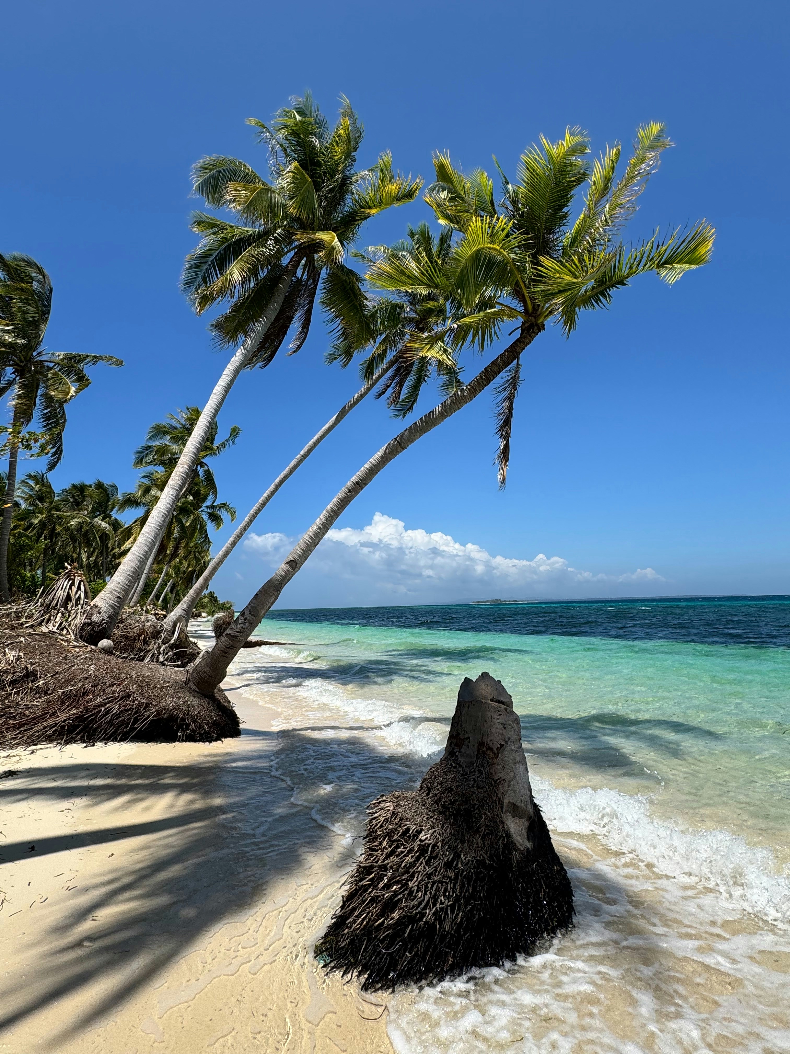 Photo by marksesaldo