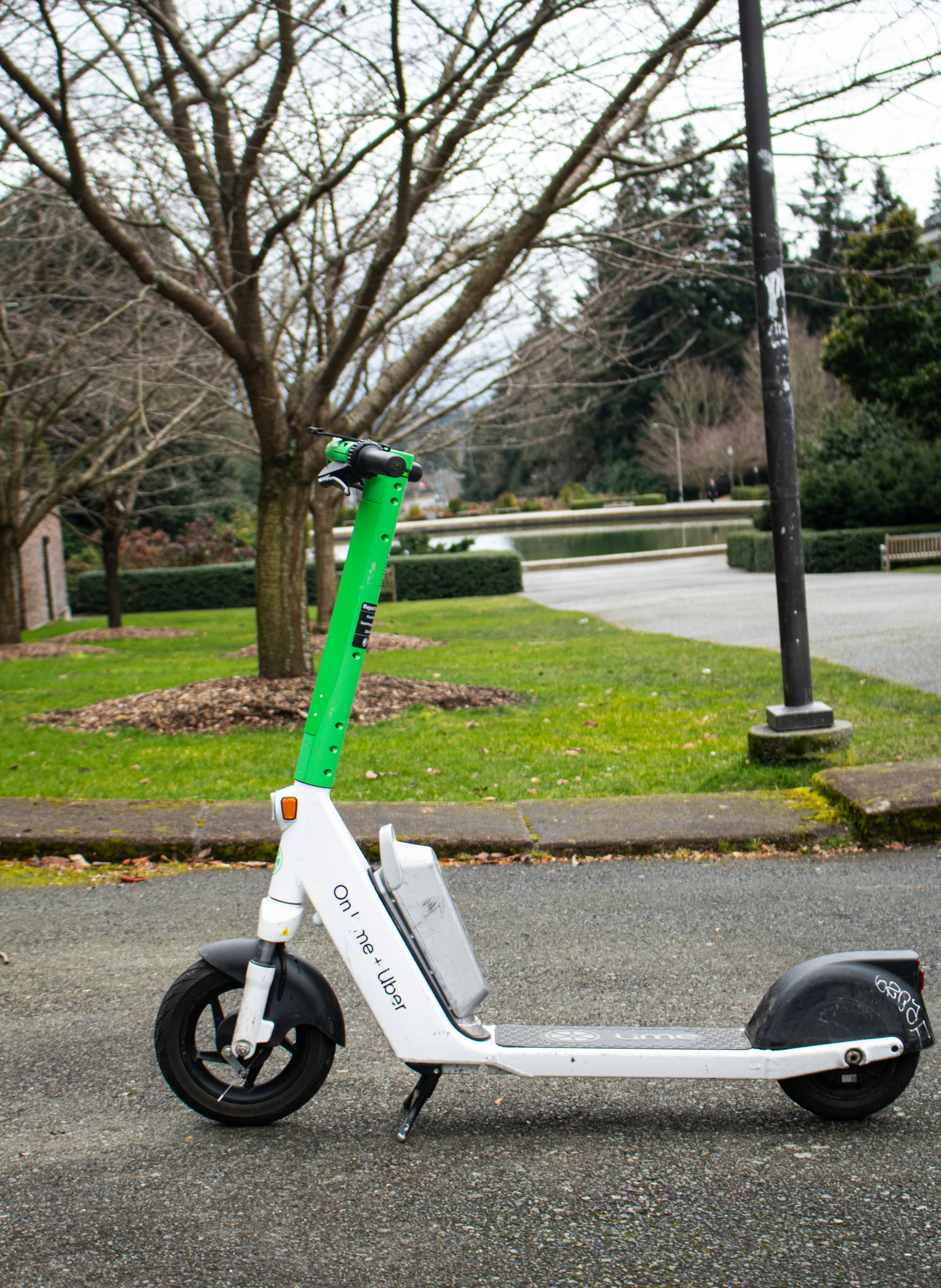 Ein Limettenroller steht auf einem Parkweg.
