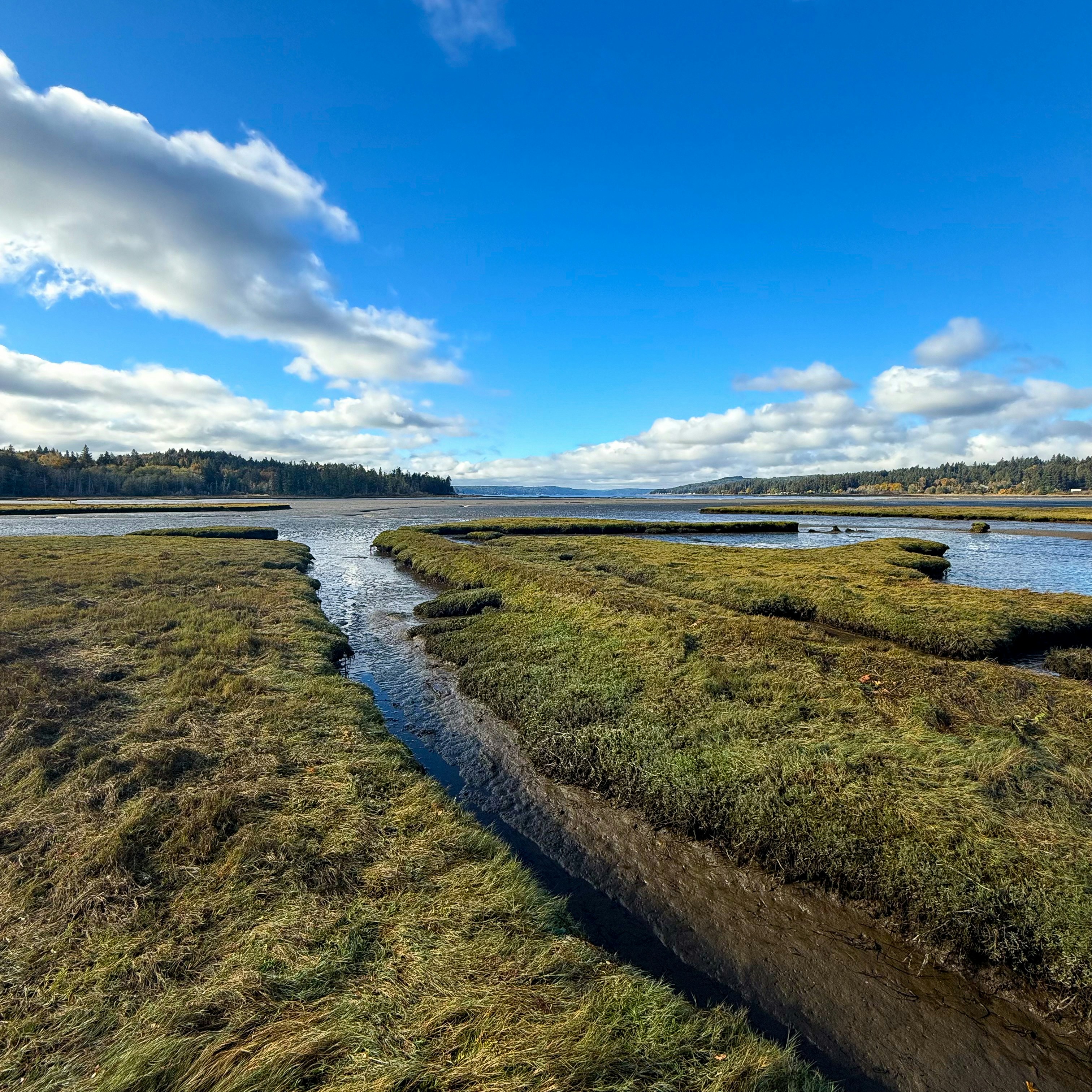 Photo by mandihchapman