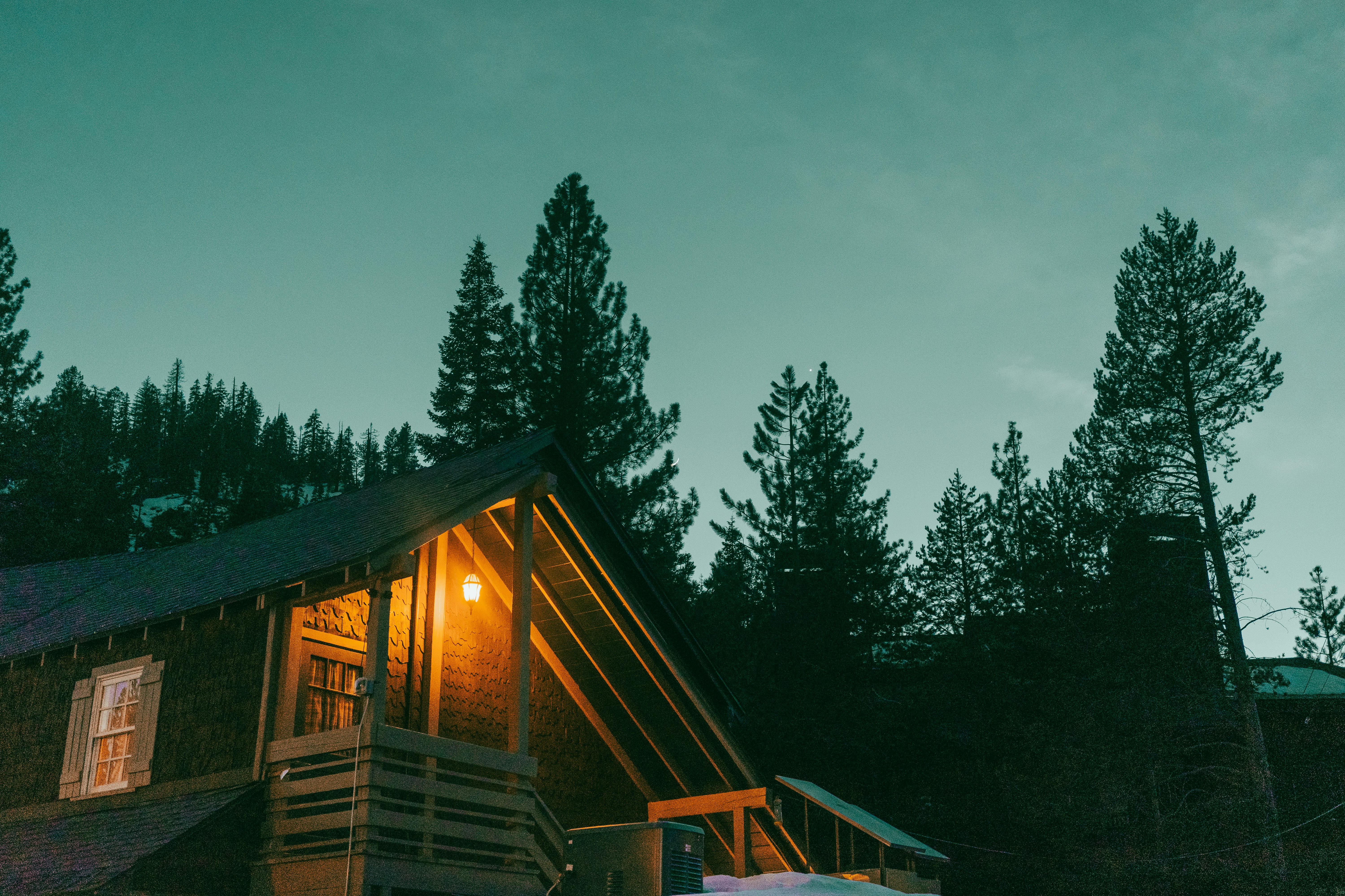 Cozy cabin illuminated amidst tall, dark trees.