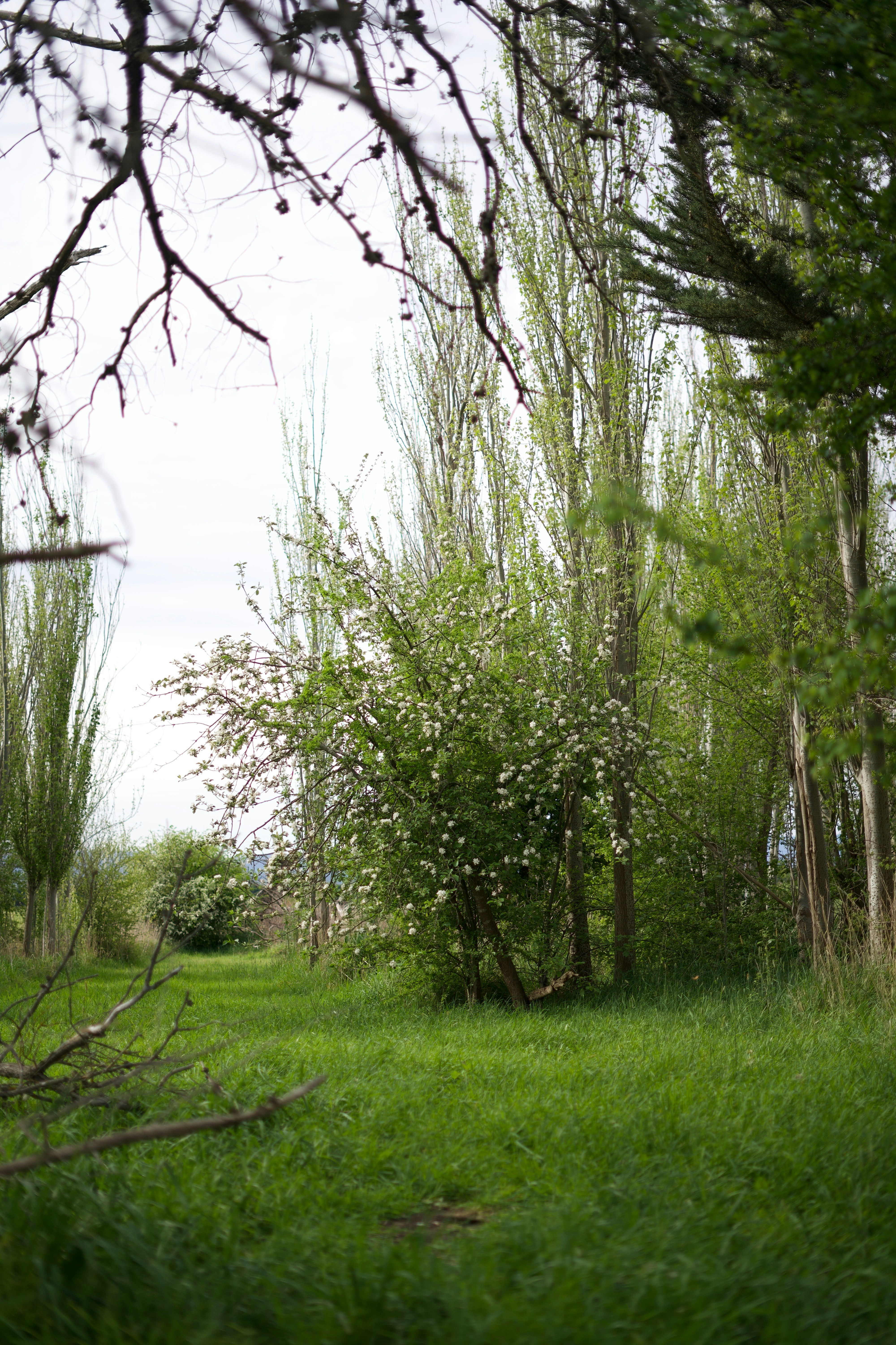 Photo by kris_verityamm