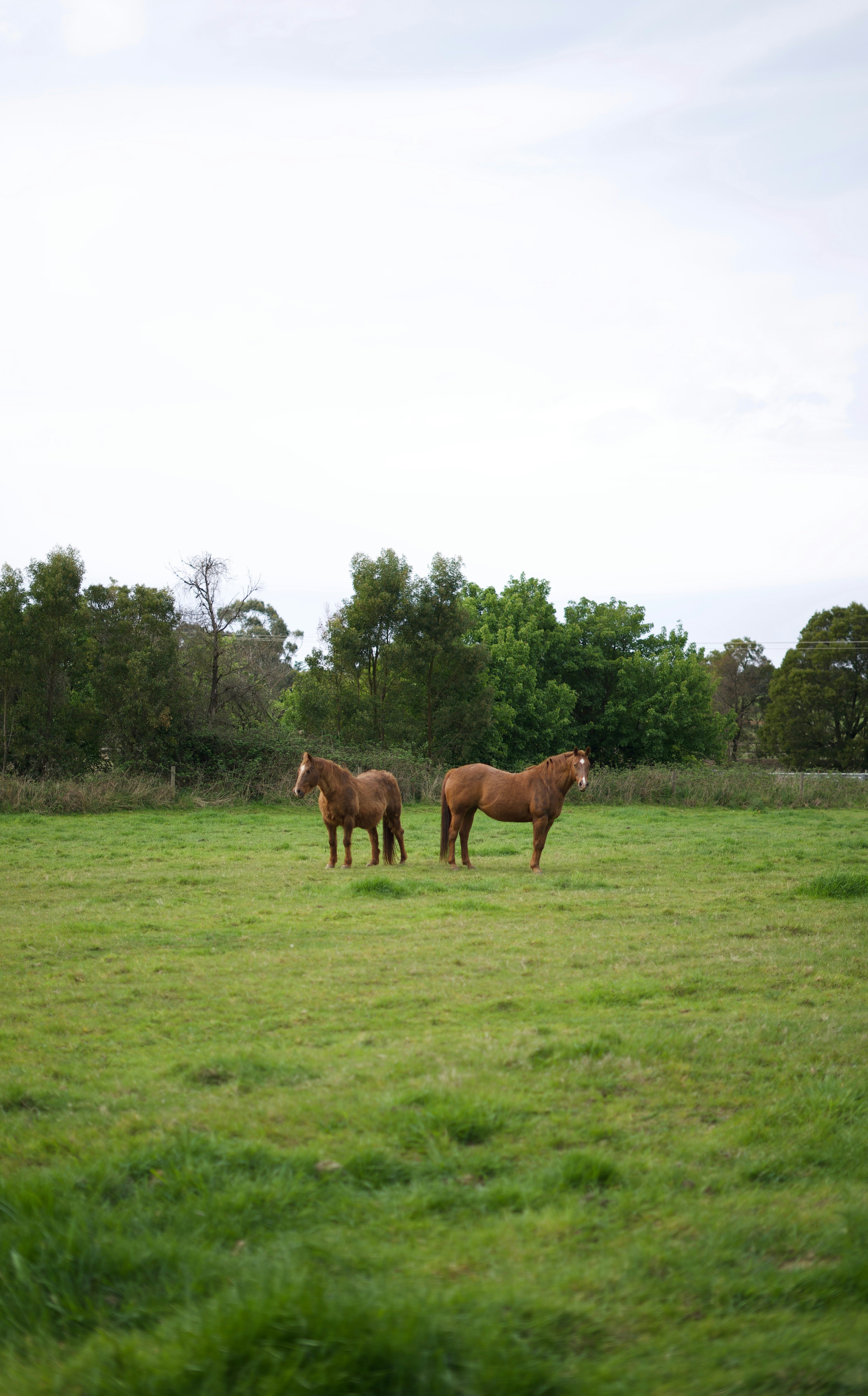 Photo by kris_verityamm