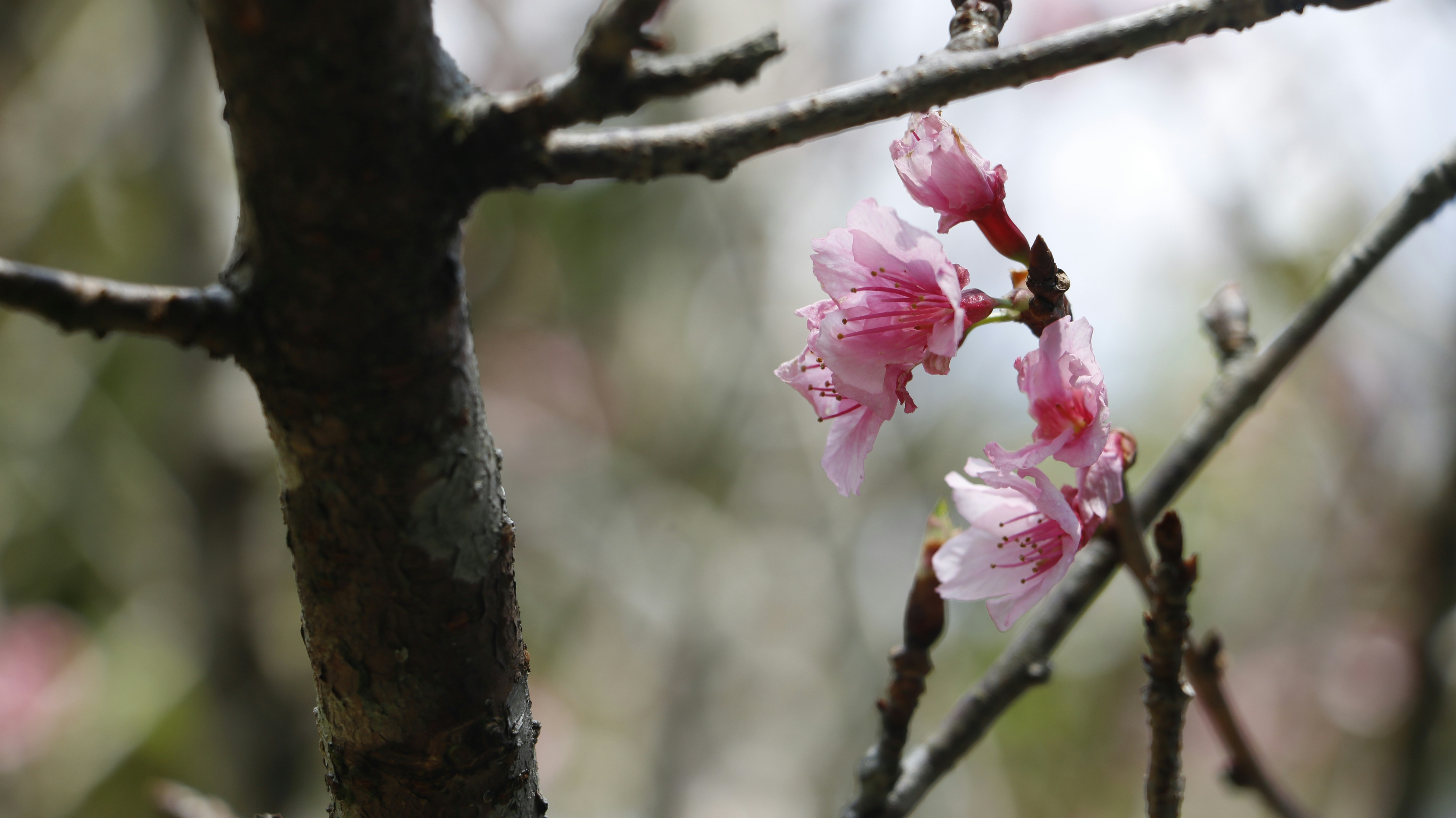 Photo by widiputri19