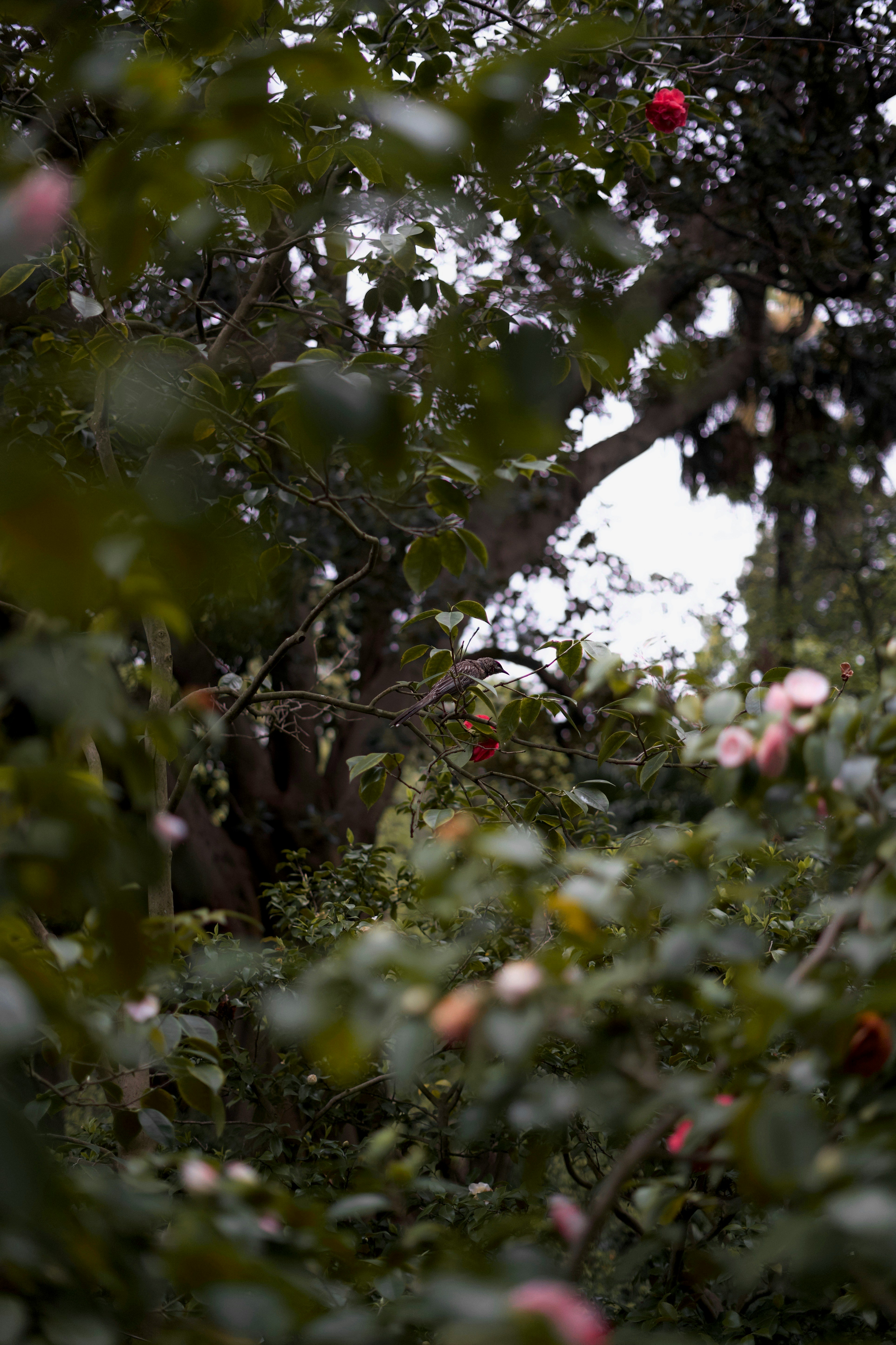 Photo by kris_verityamm