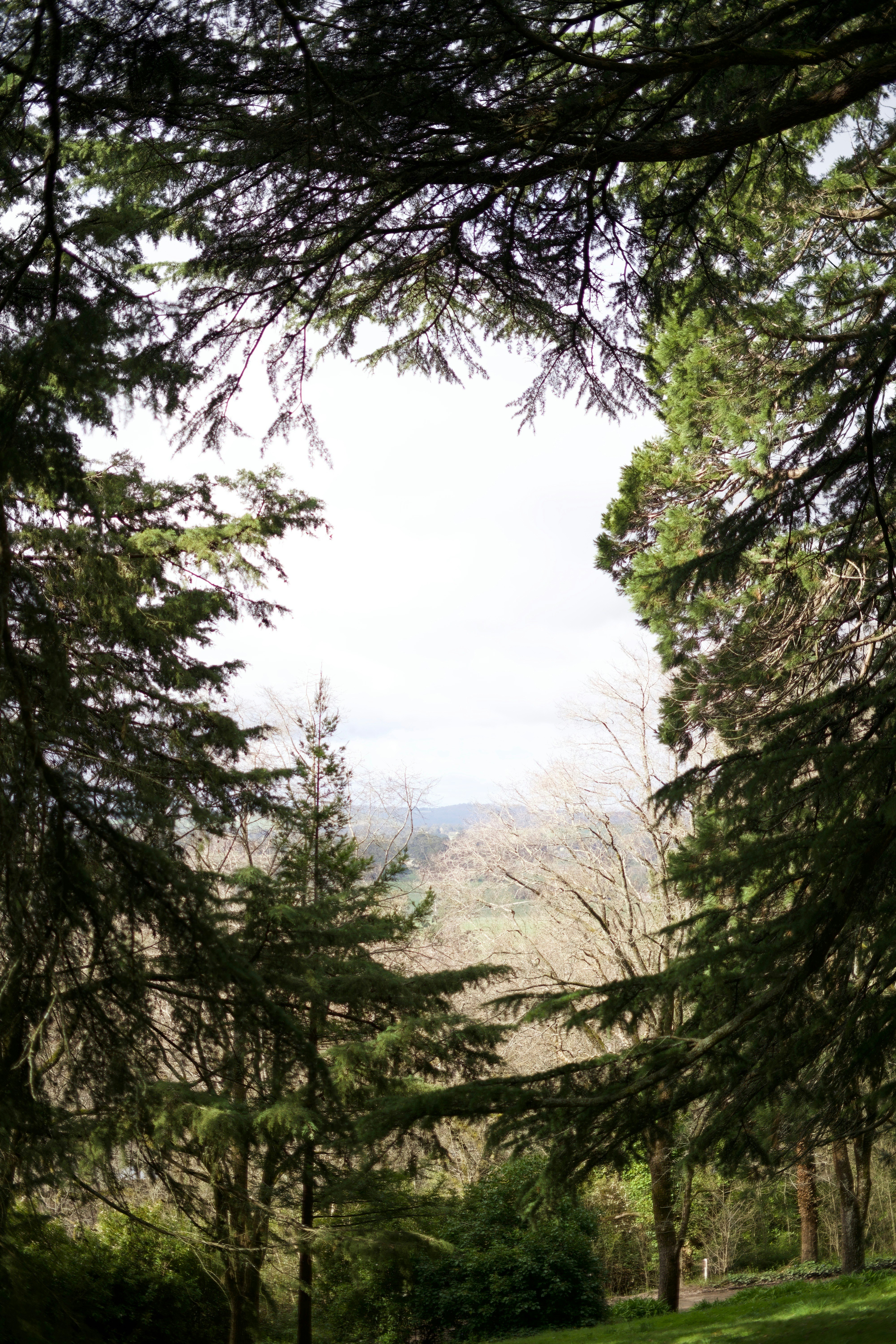 Photo by kris_verityamm