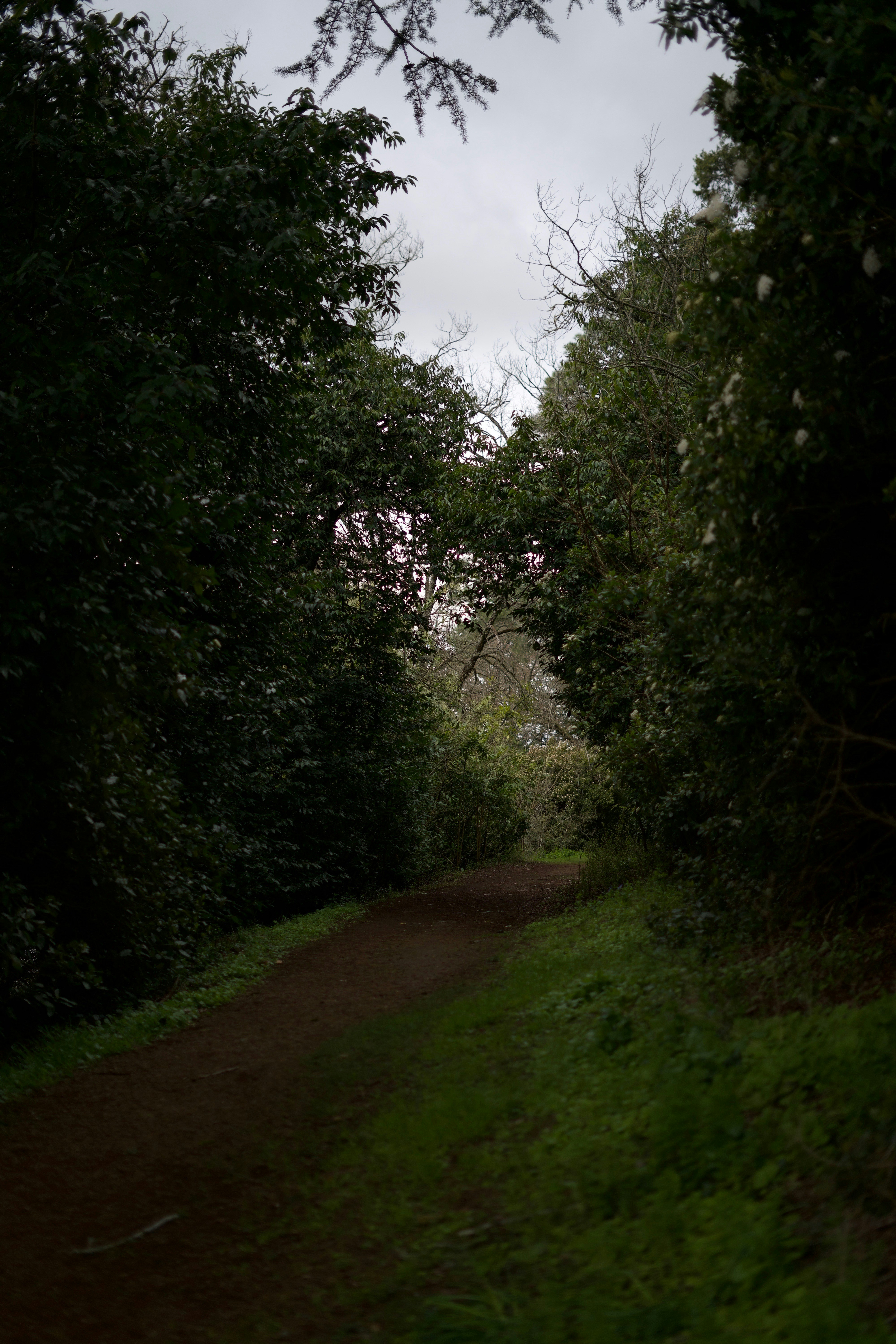 Photo by kris_verityamm