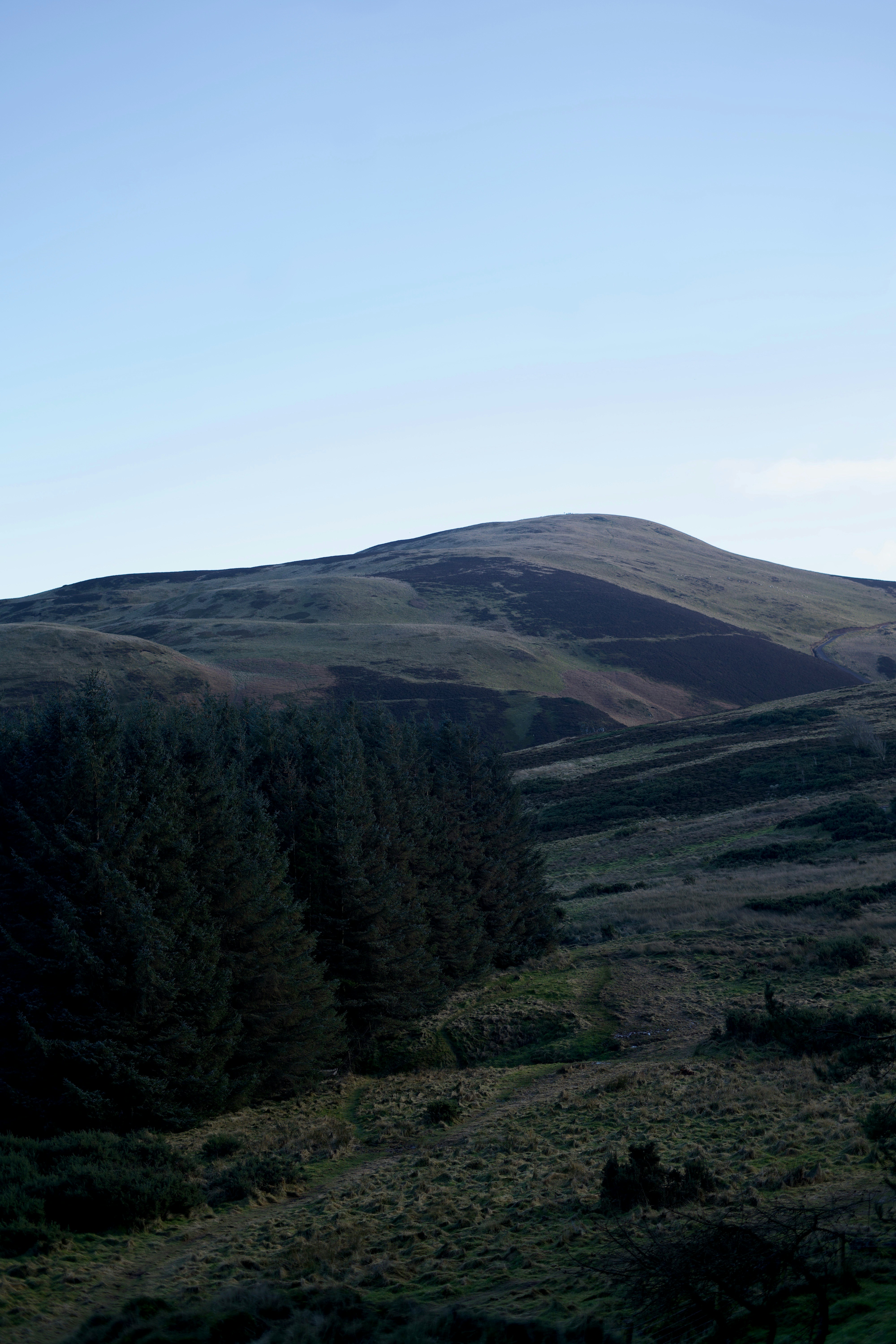 Photo by kris_verityamm