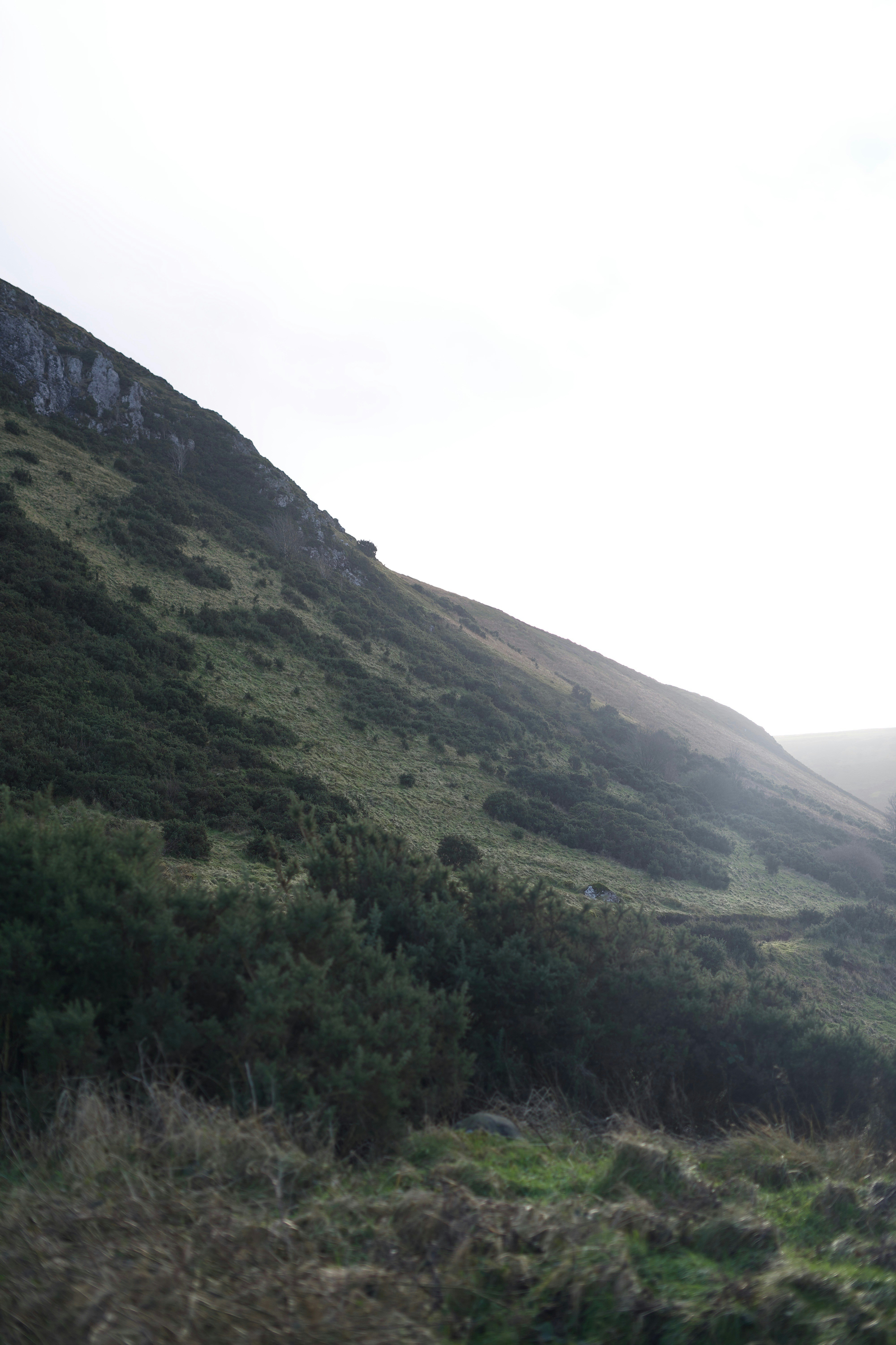 Photo by kris_verityamm