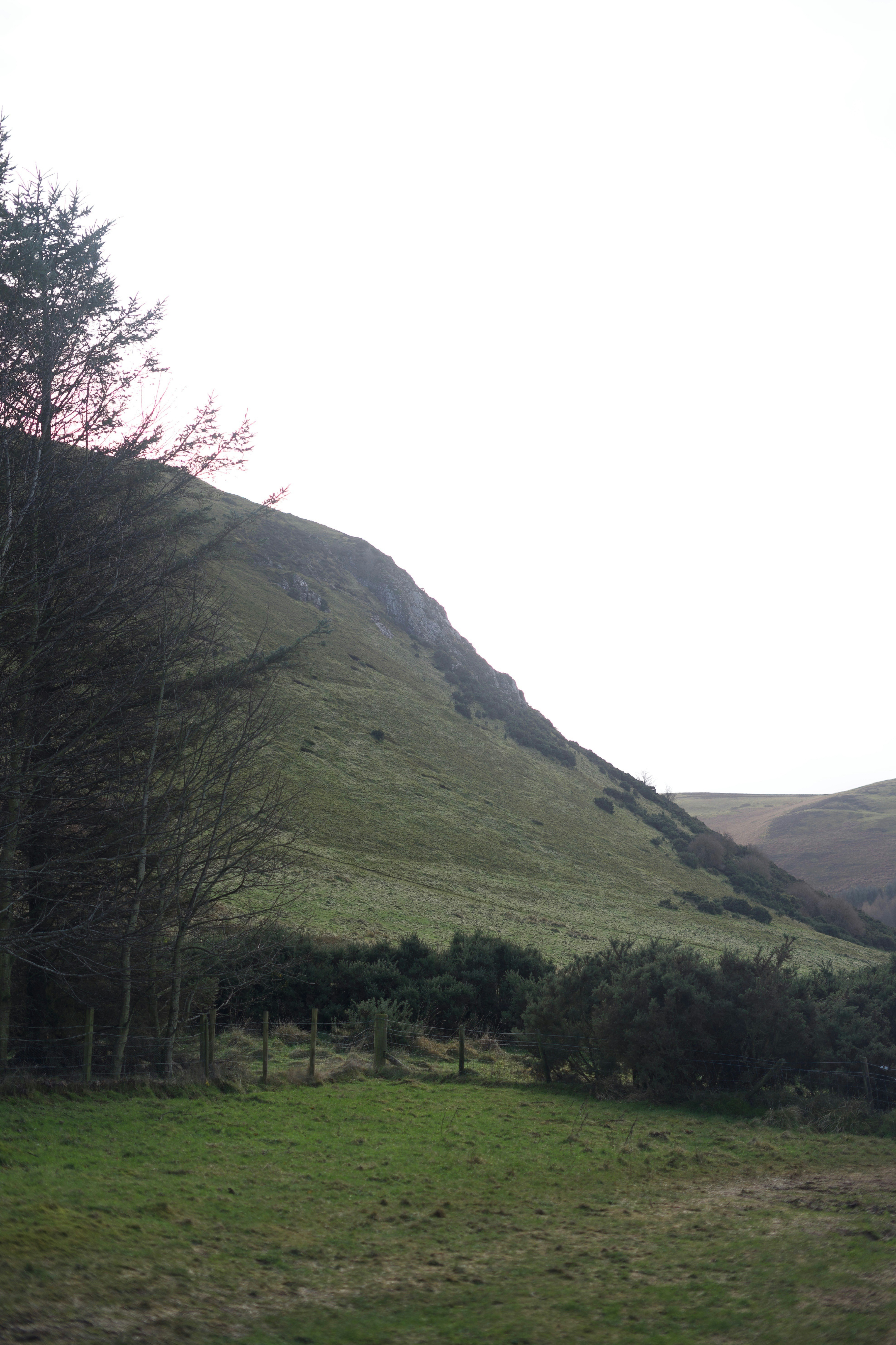 Photo by kris_verityamm