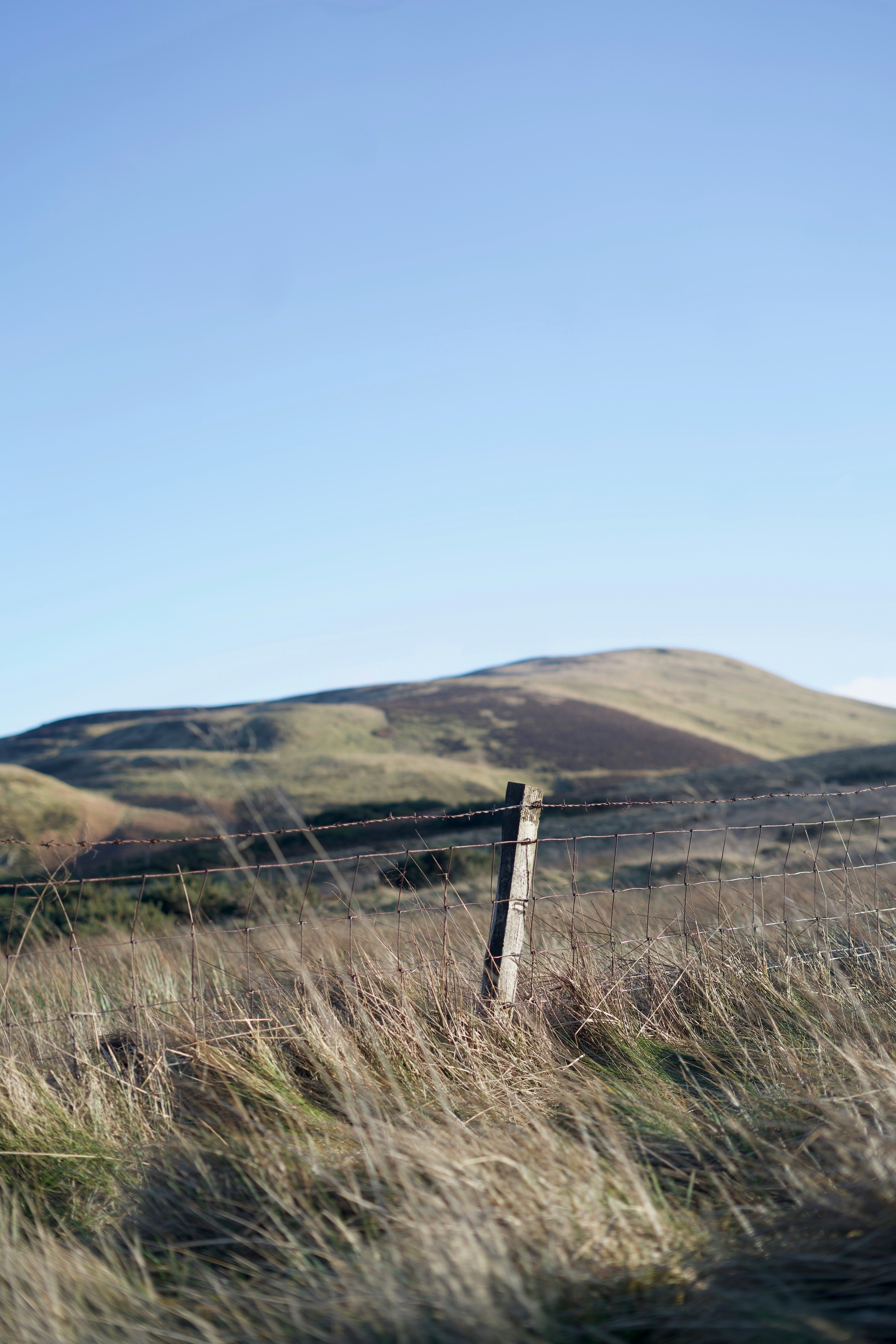 Photo by kris_verityamm