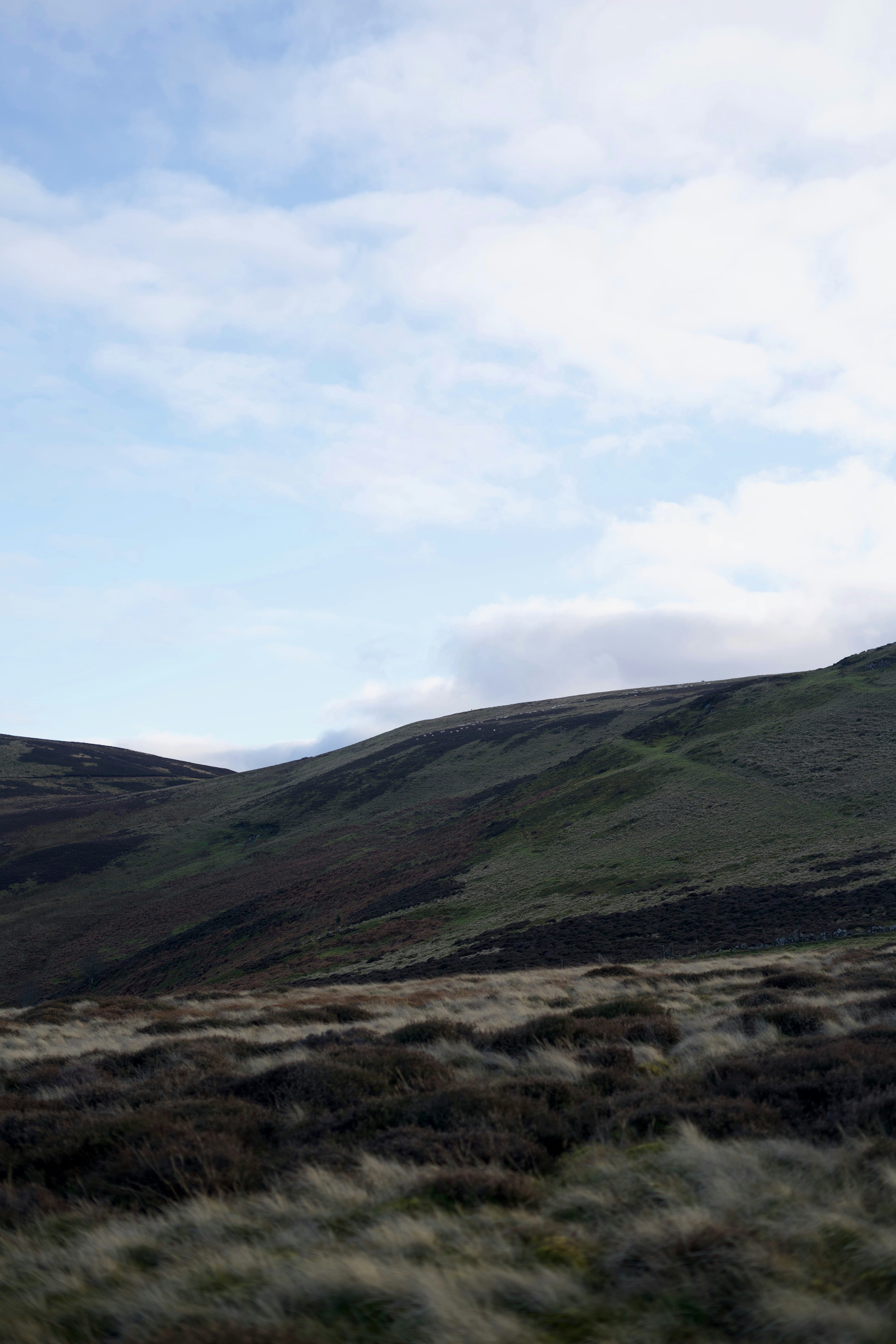 Photo by kris_verityamm