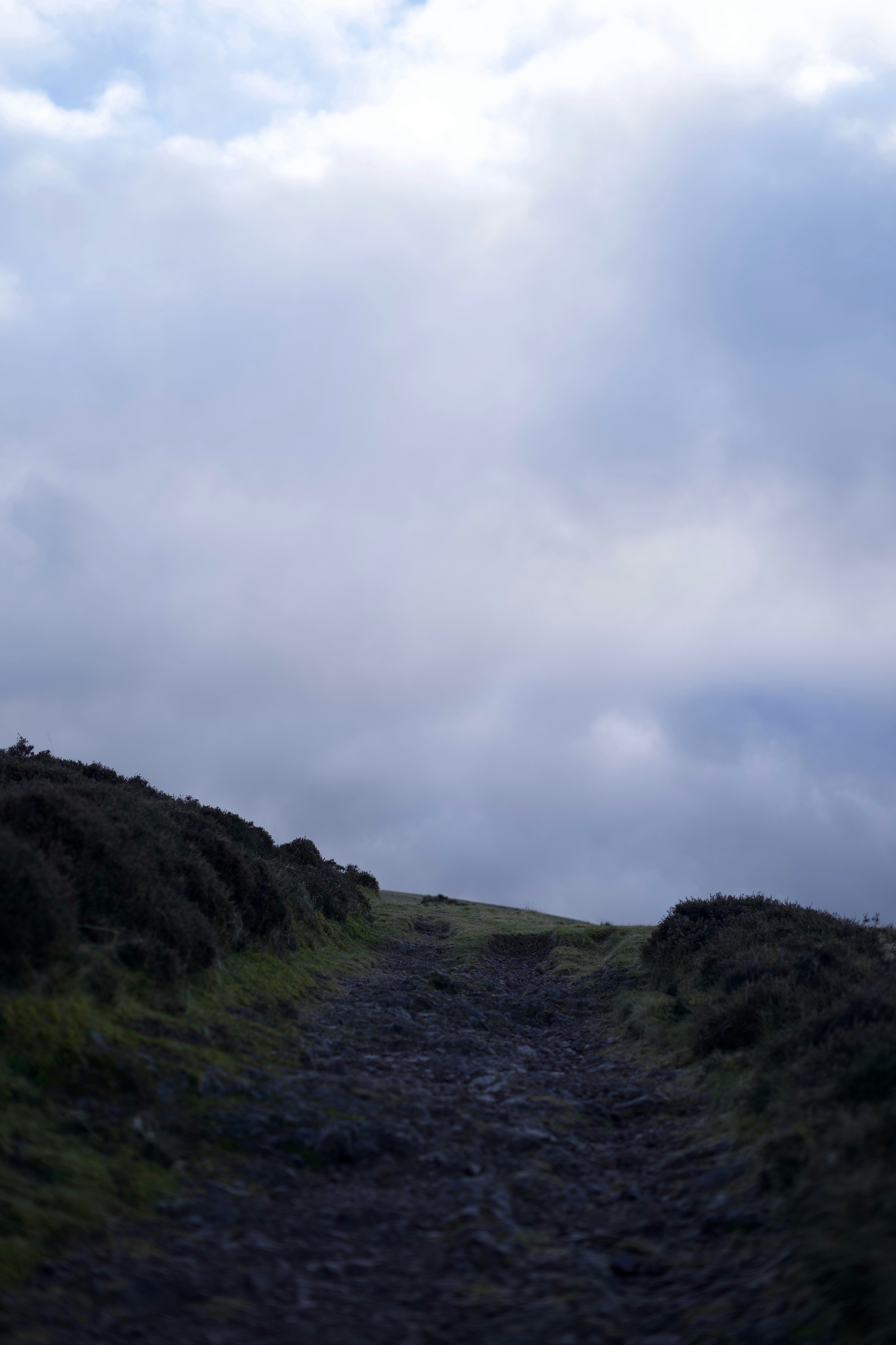 Photo by kris_verityamm