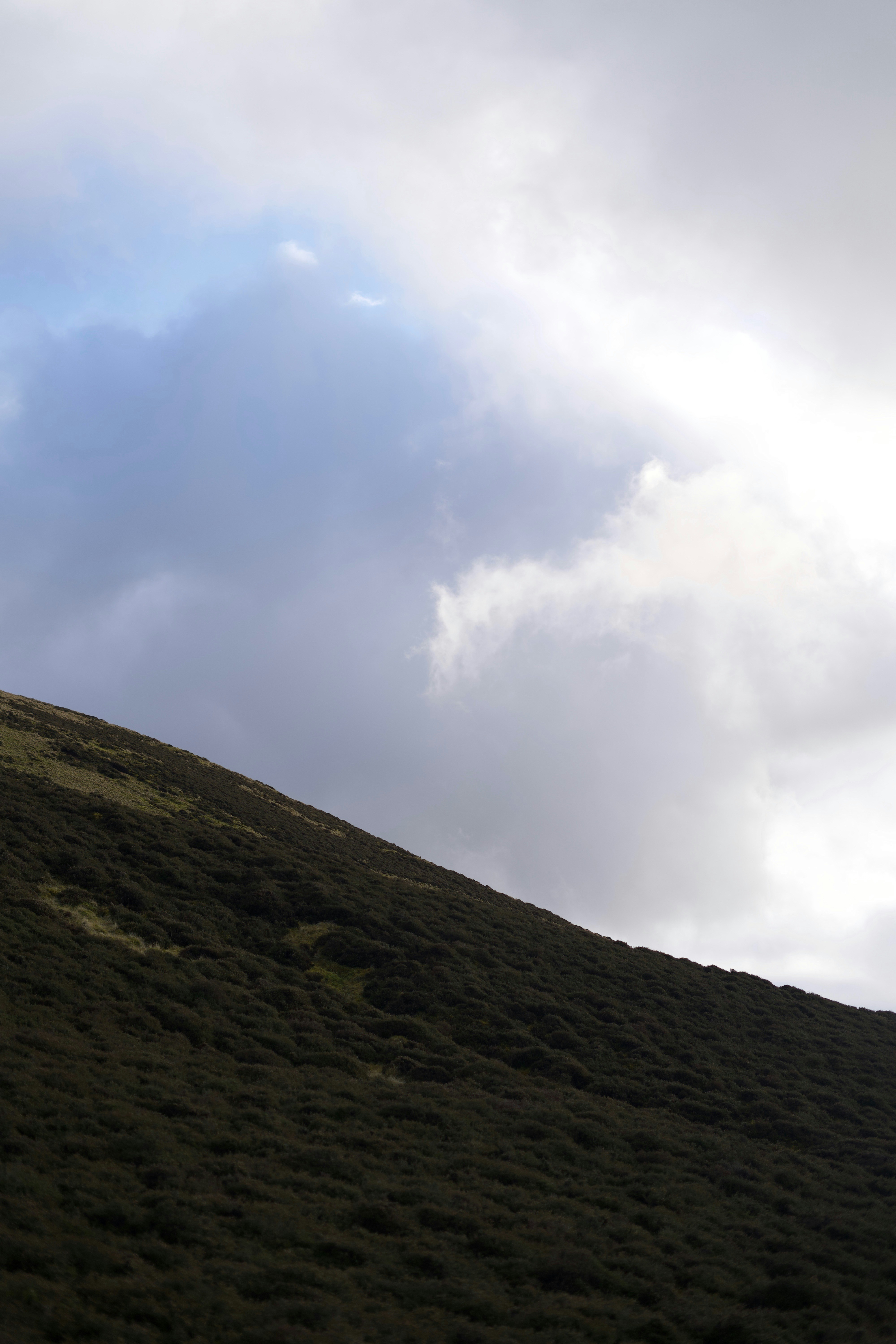 Photo by kris_verityamm