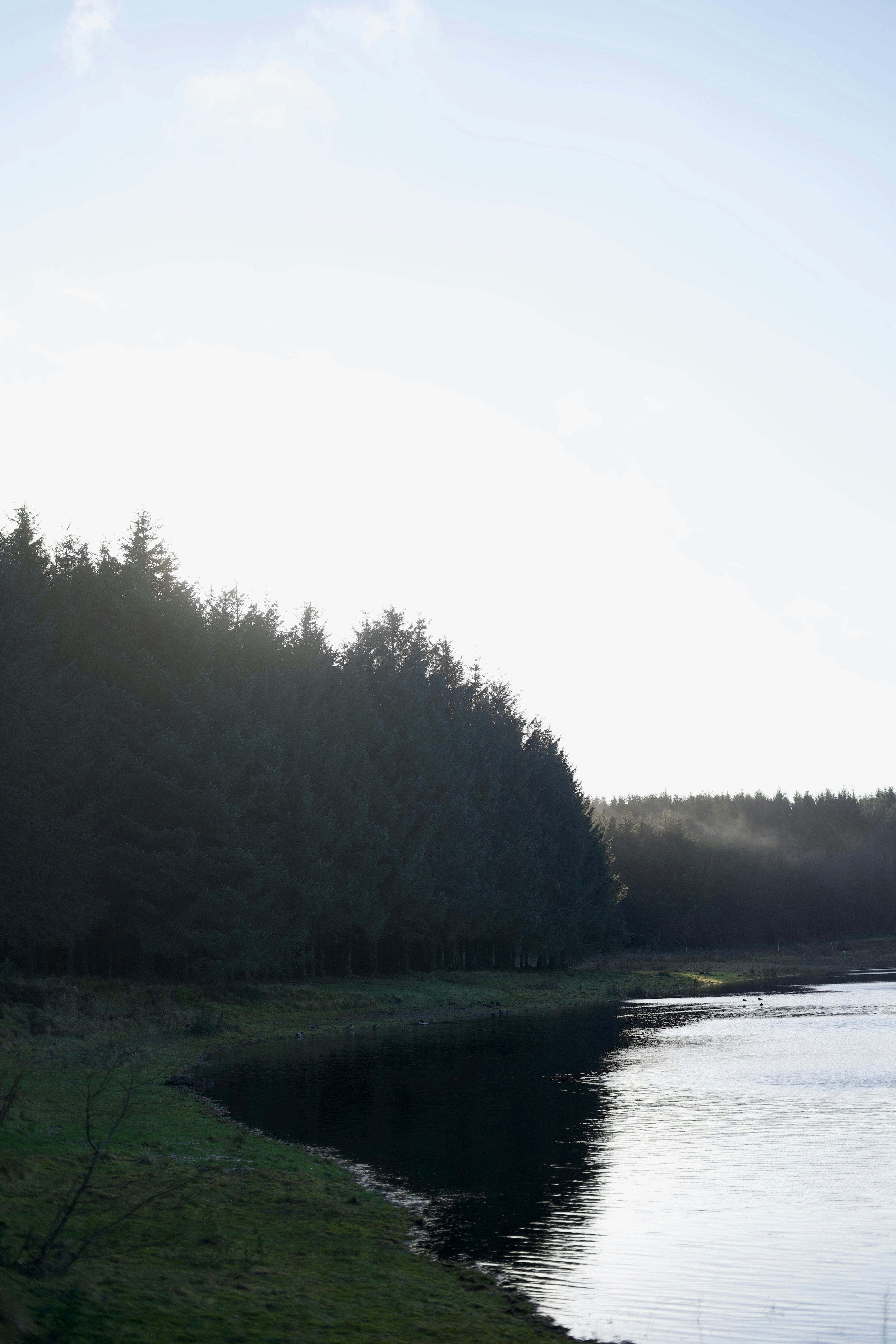 Photo by kris_verityamm