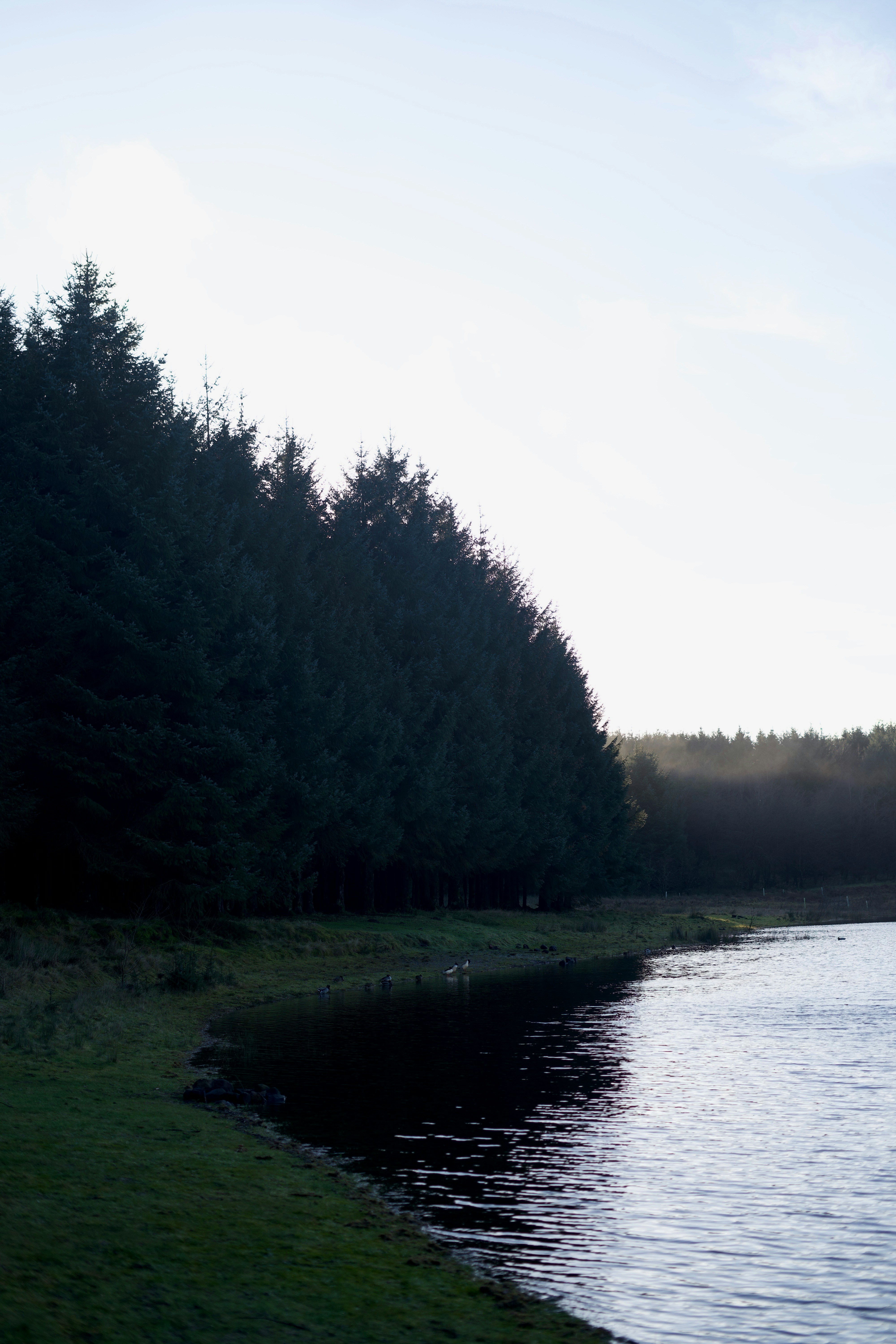 Photo by kris_verityamm