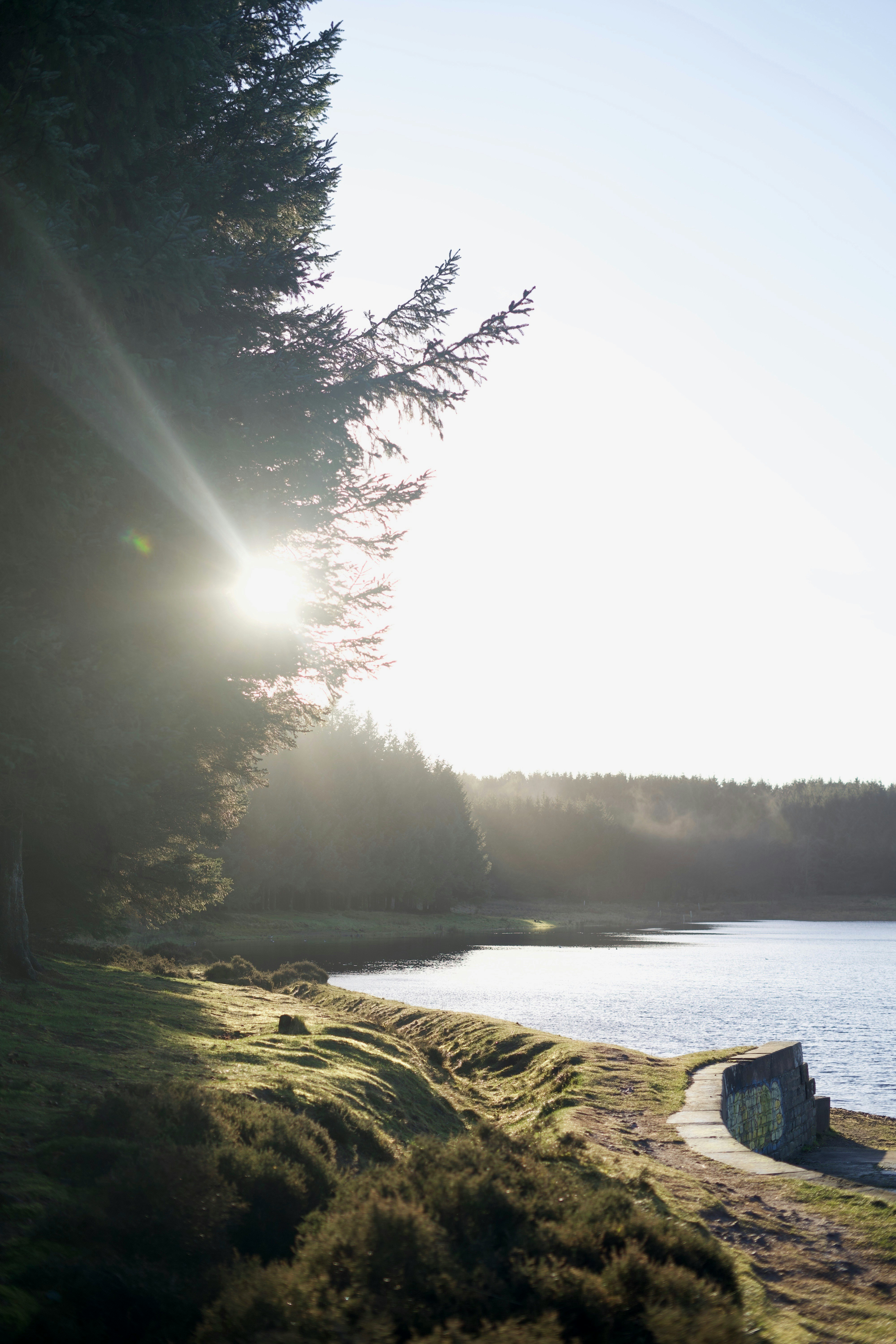 Photo by kris_verityamm