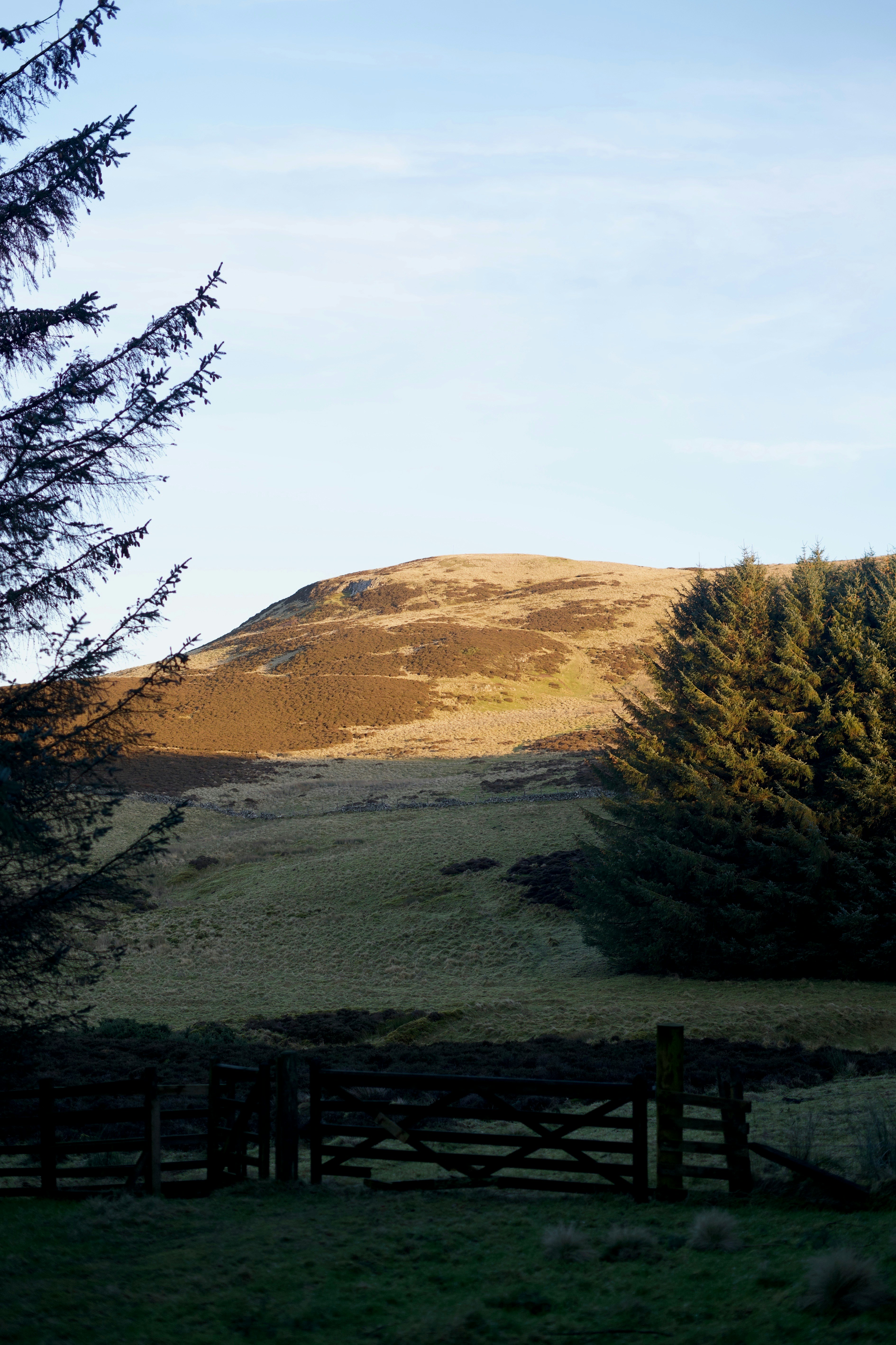 Photo by kris_verityamm