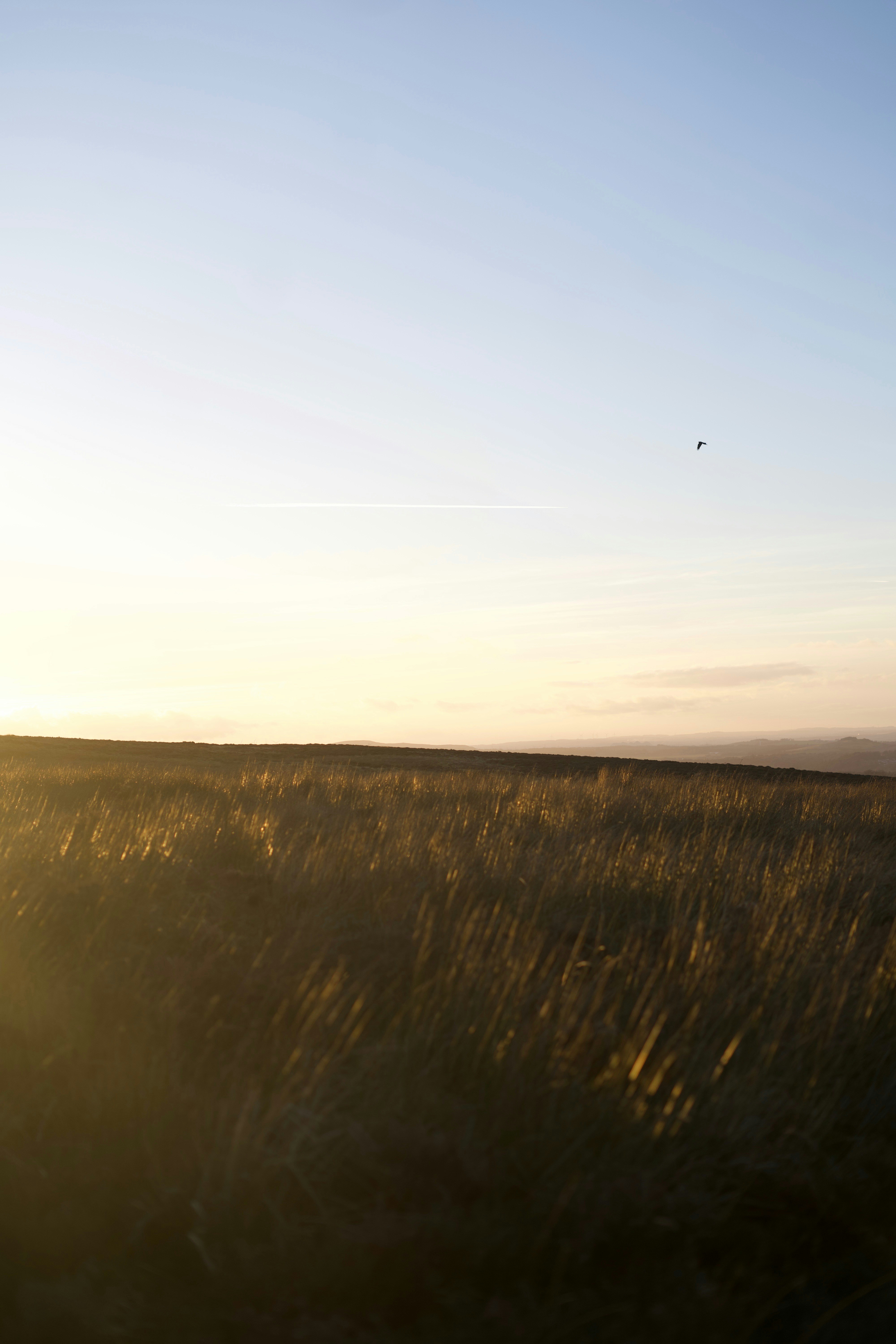 Photo by kris_verityamm