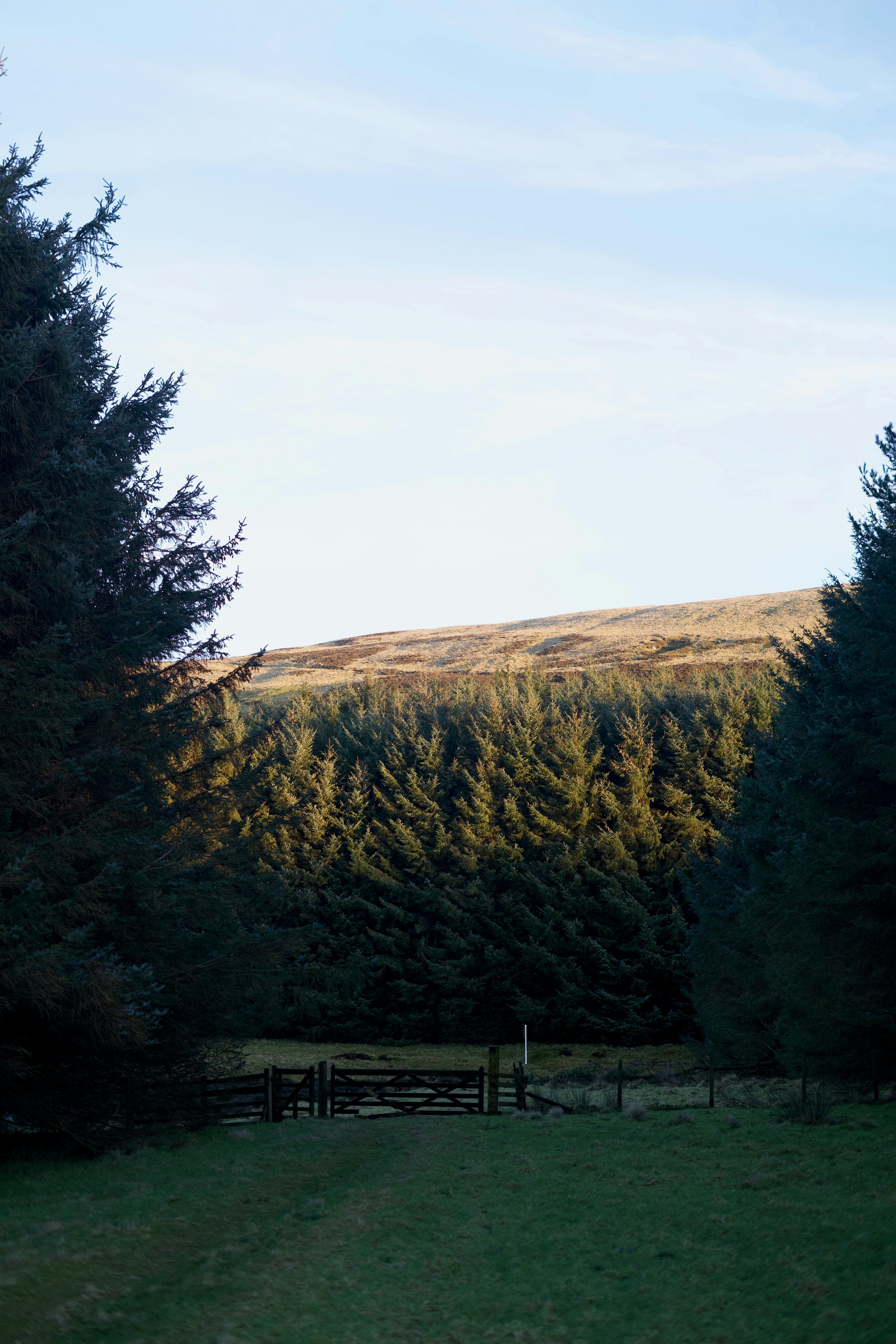 Photo by kris_verityamm