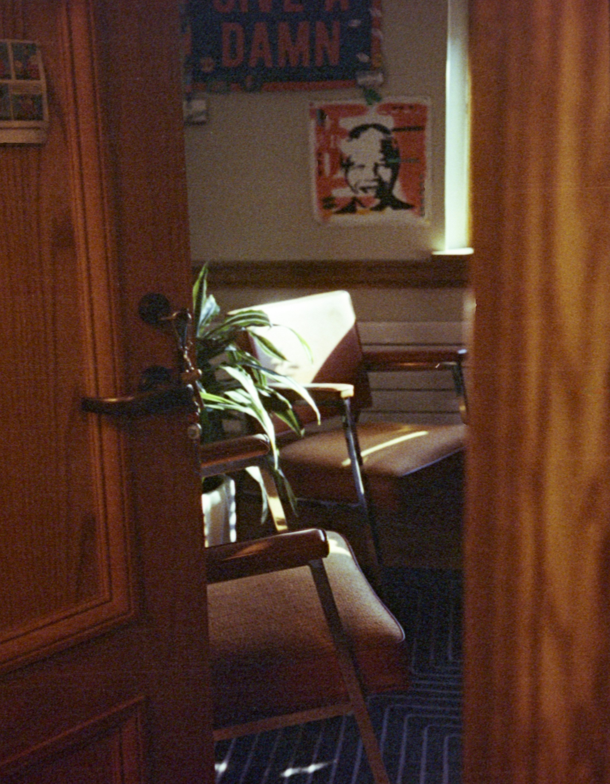 Chairs and a plant sit in a warmly lit room.