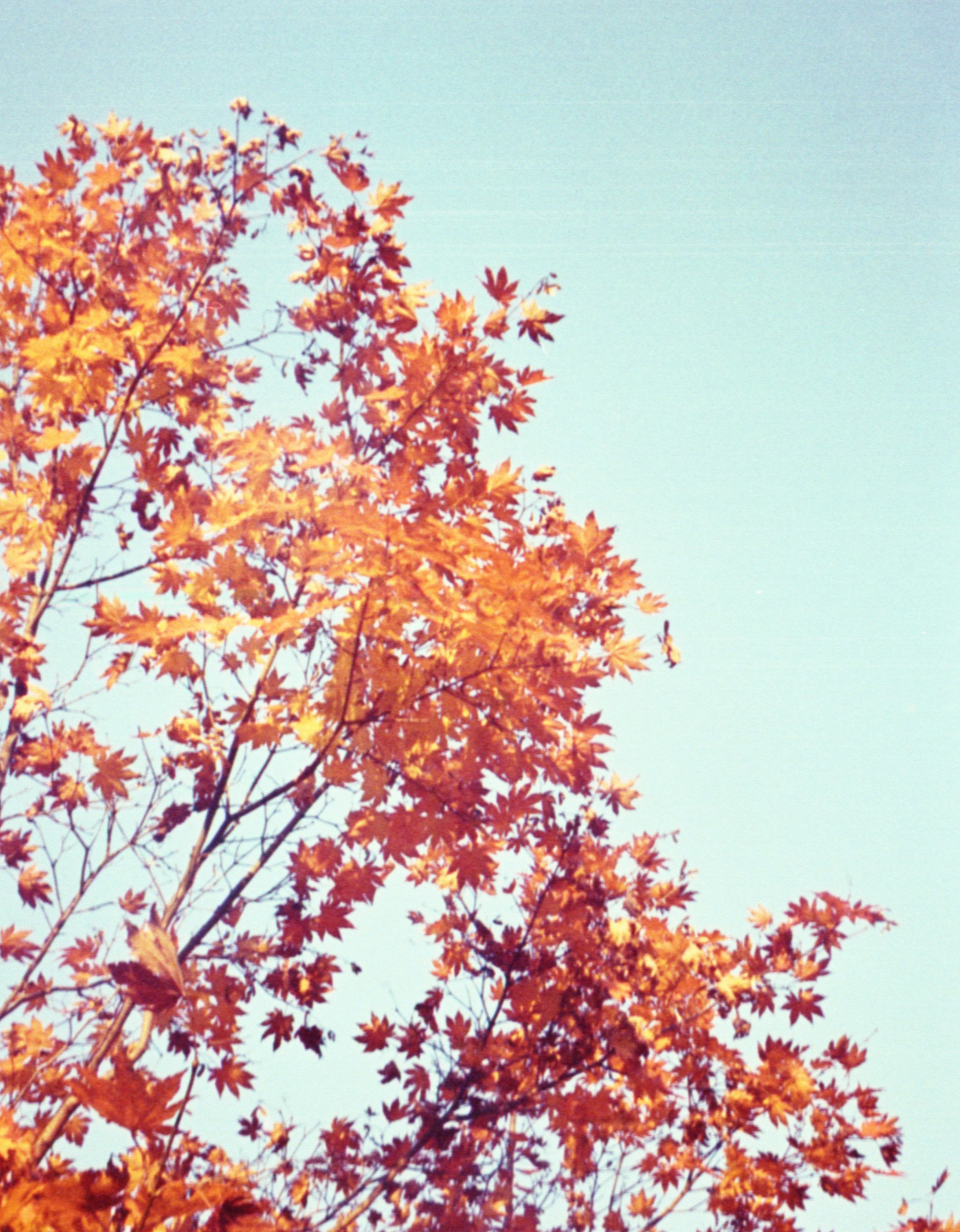 Photo by austin_7792