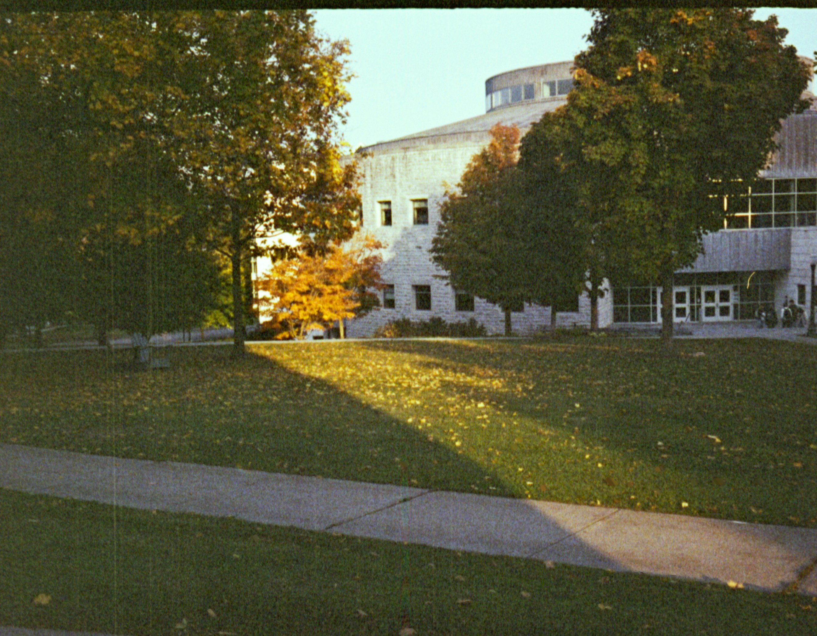 The Patio at The Pit Room
