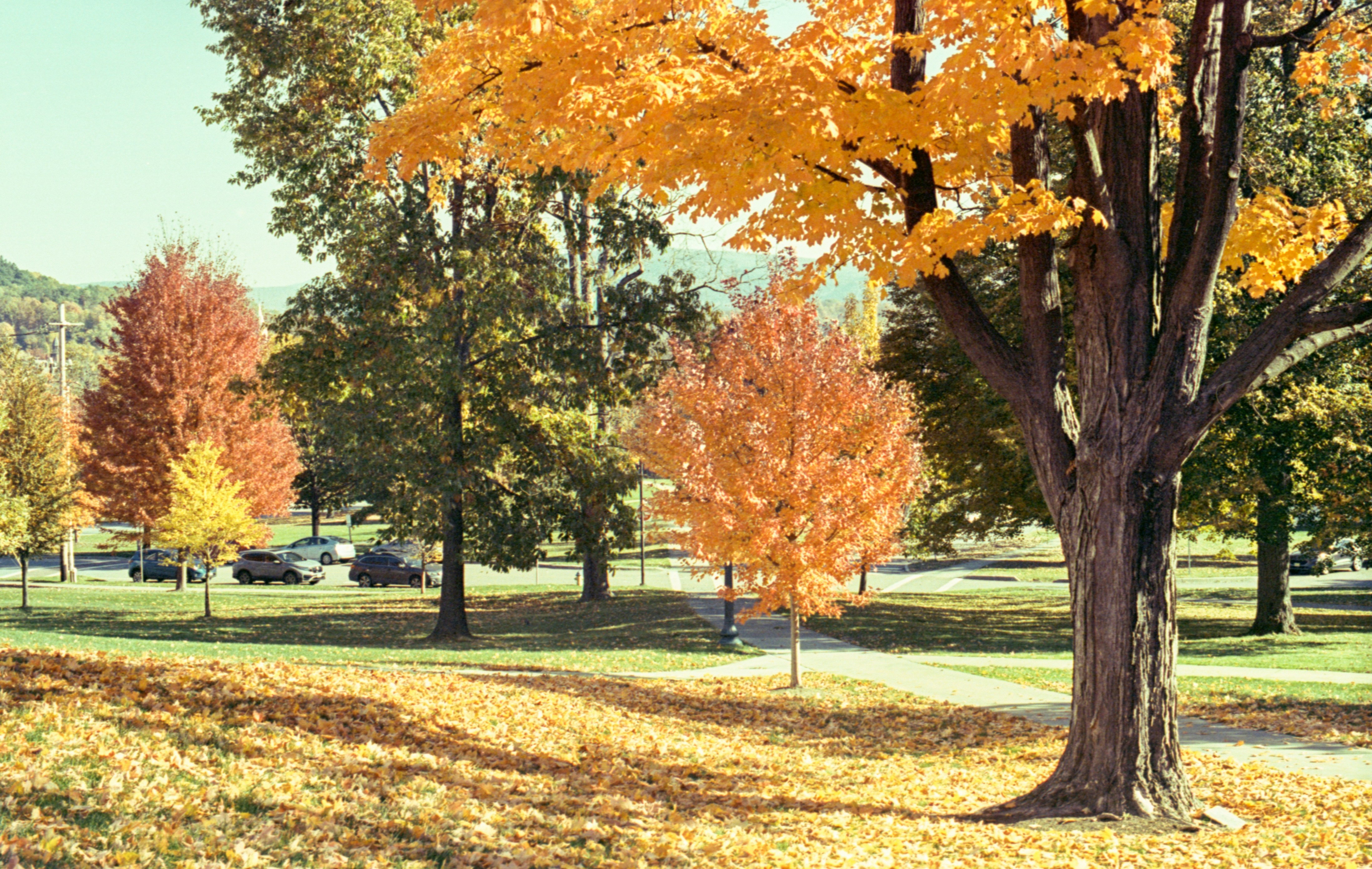 Photo by austin_7792