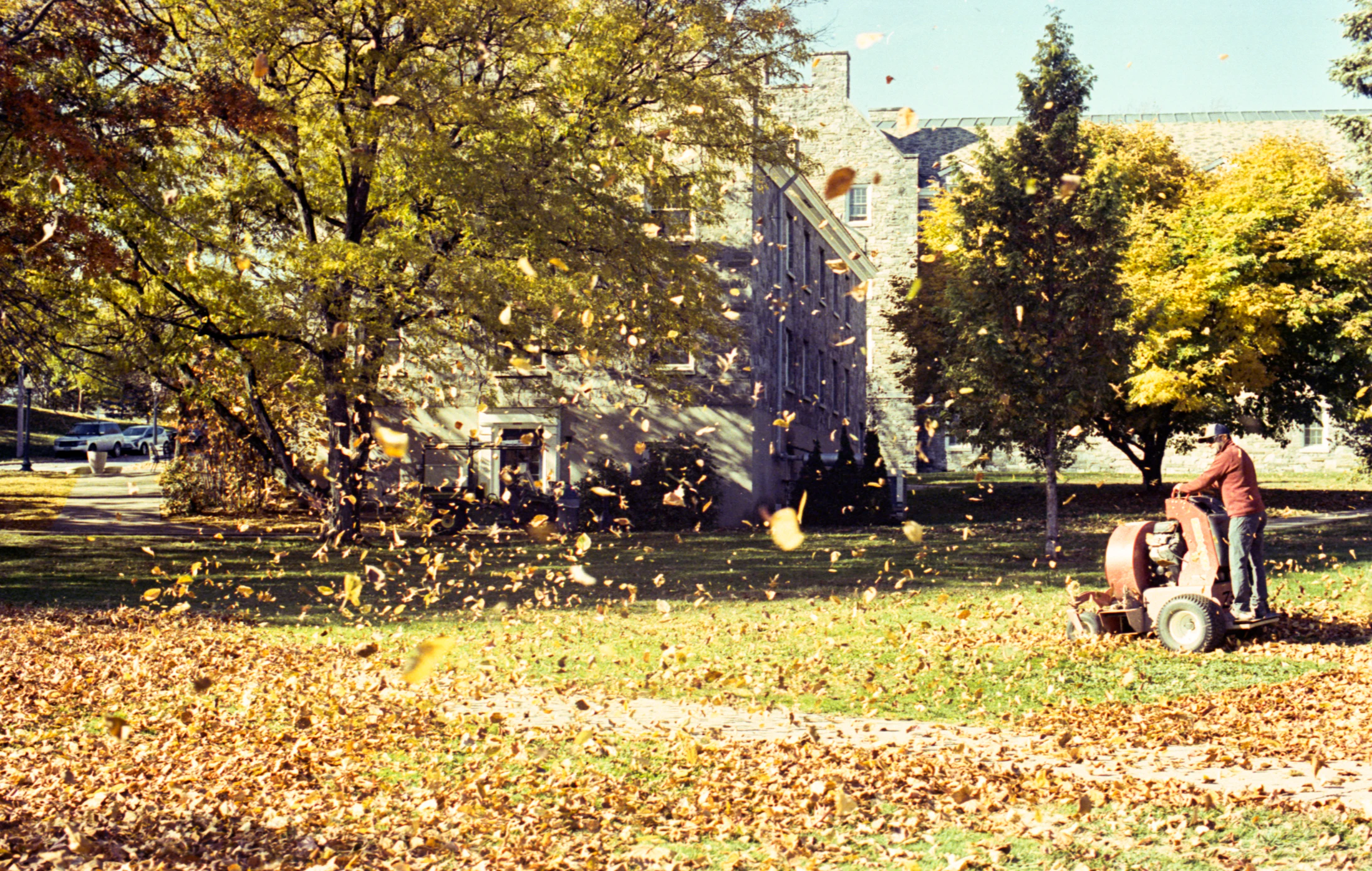 Leaf blower clearing fallen autumn leaves