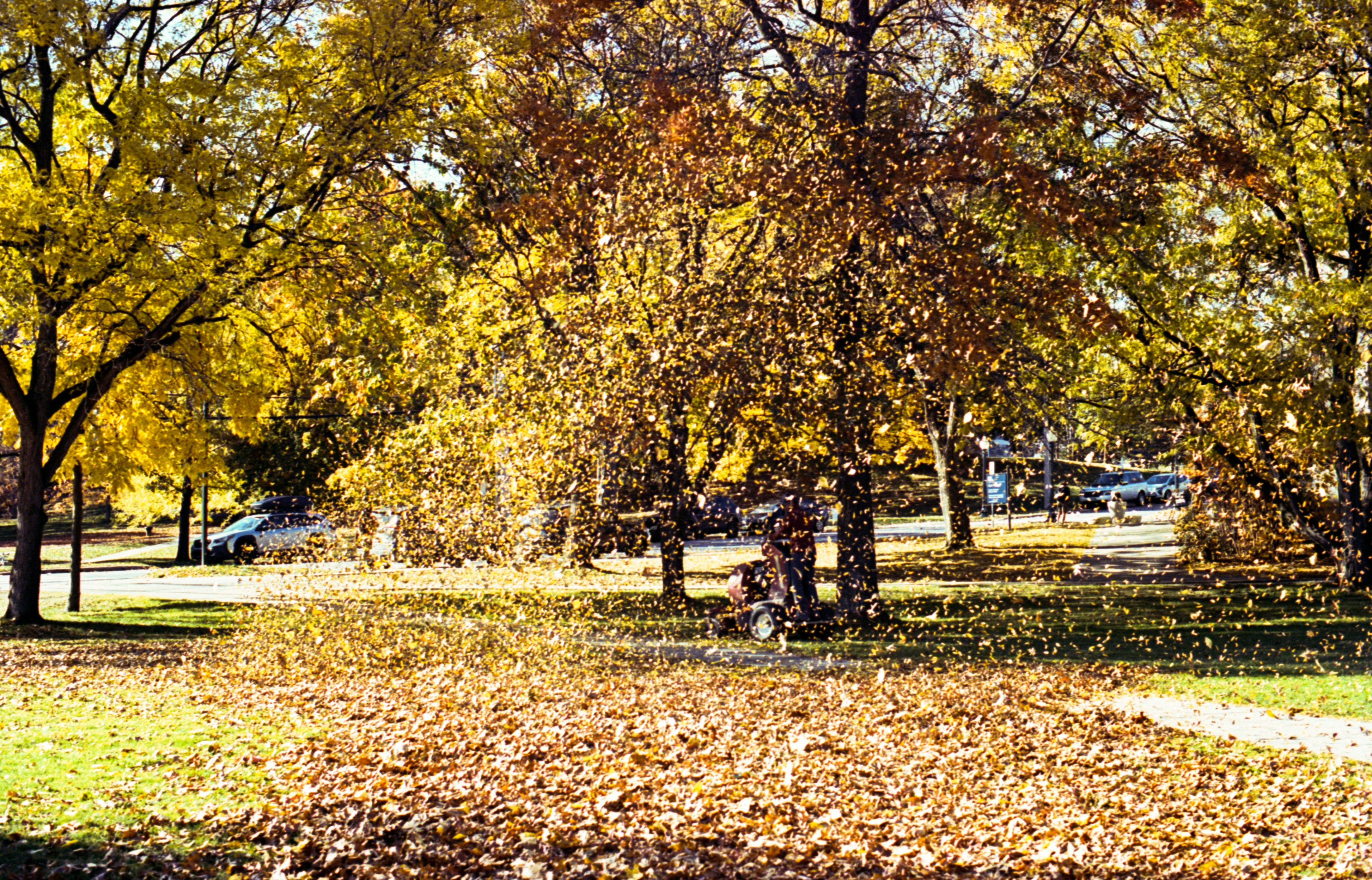 Photo by austin_7792