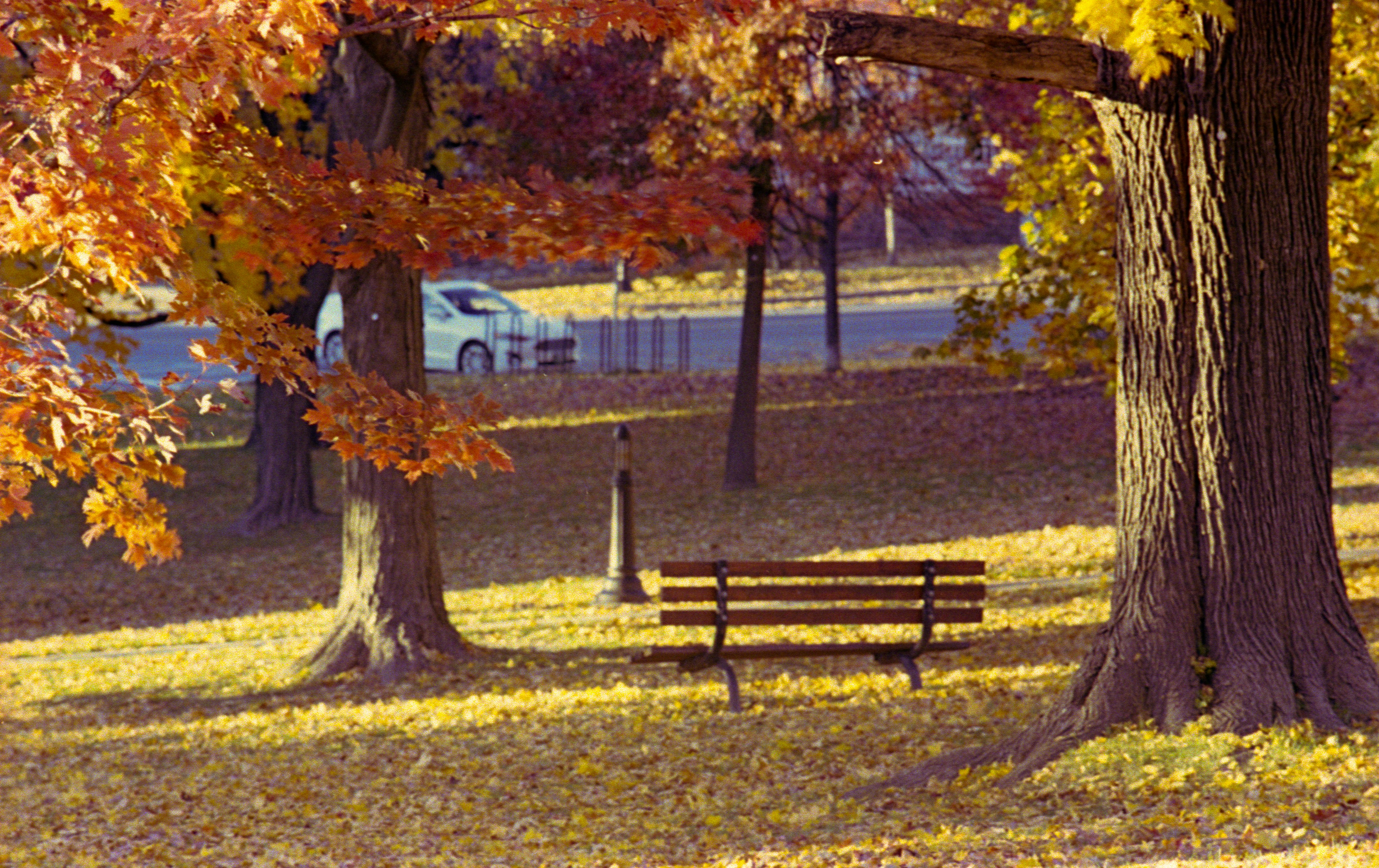 Photo by austin_7792