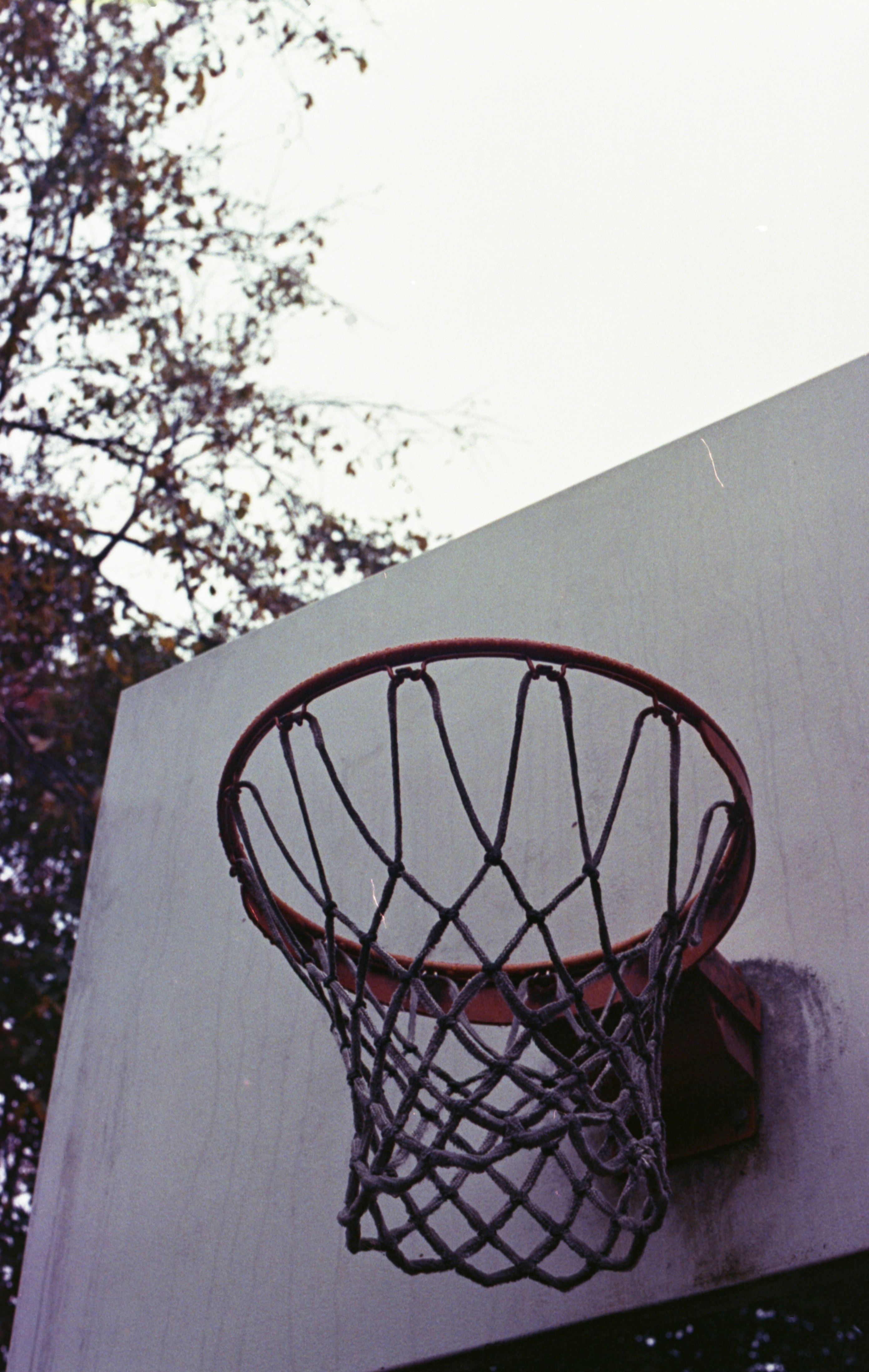 Photo by austin_7792