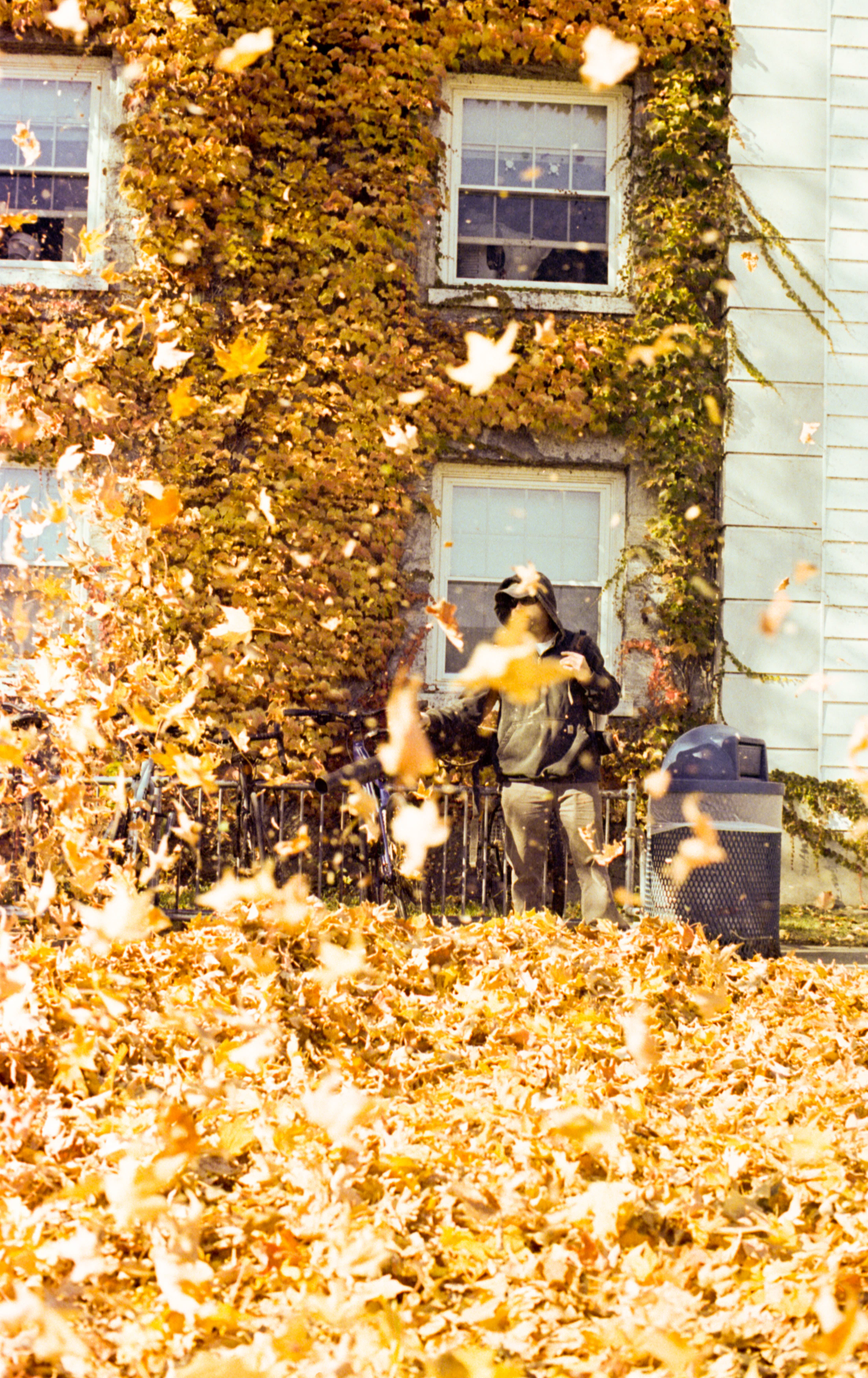 Outdoor seasonal property cleanup