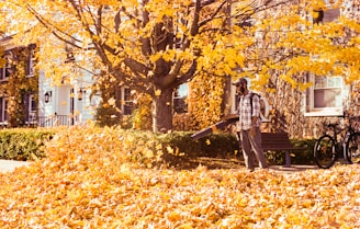 Man using leaf blower in autumn leaves