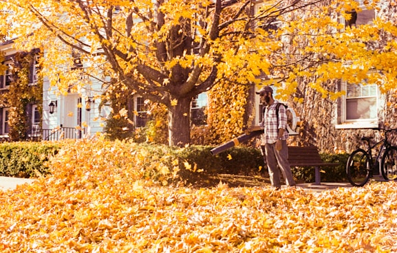 Man using leaf blower in autumn leaves