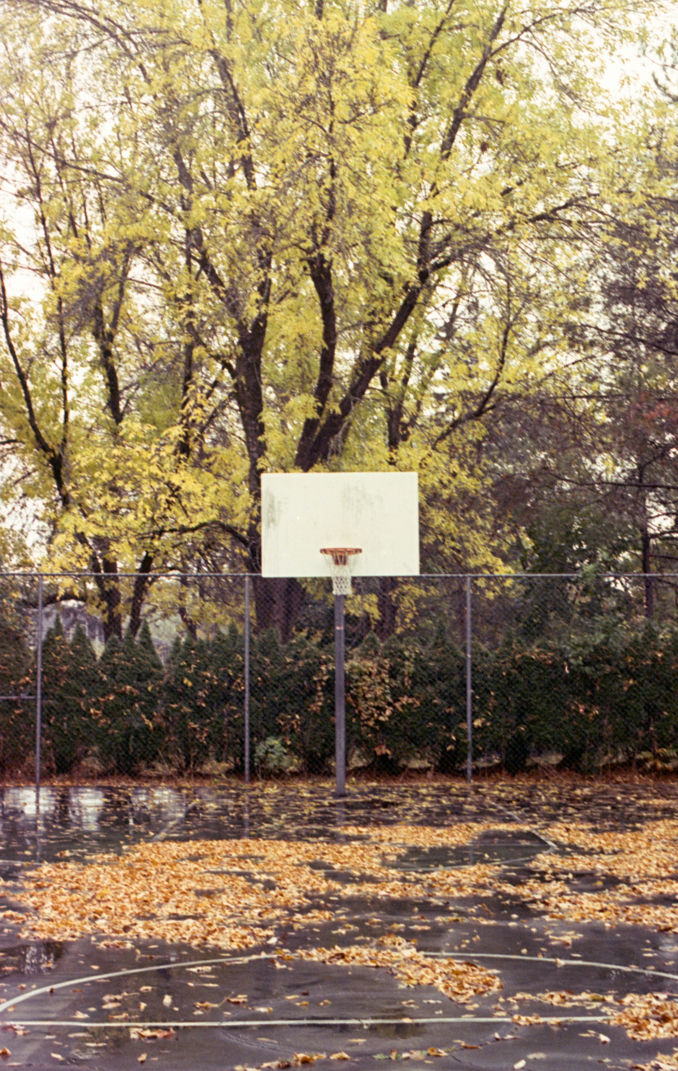 Photo by austin_7792