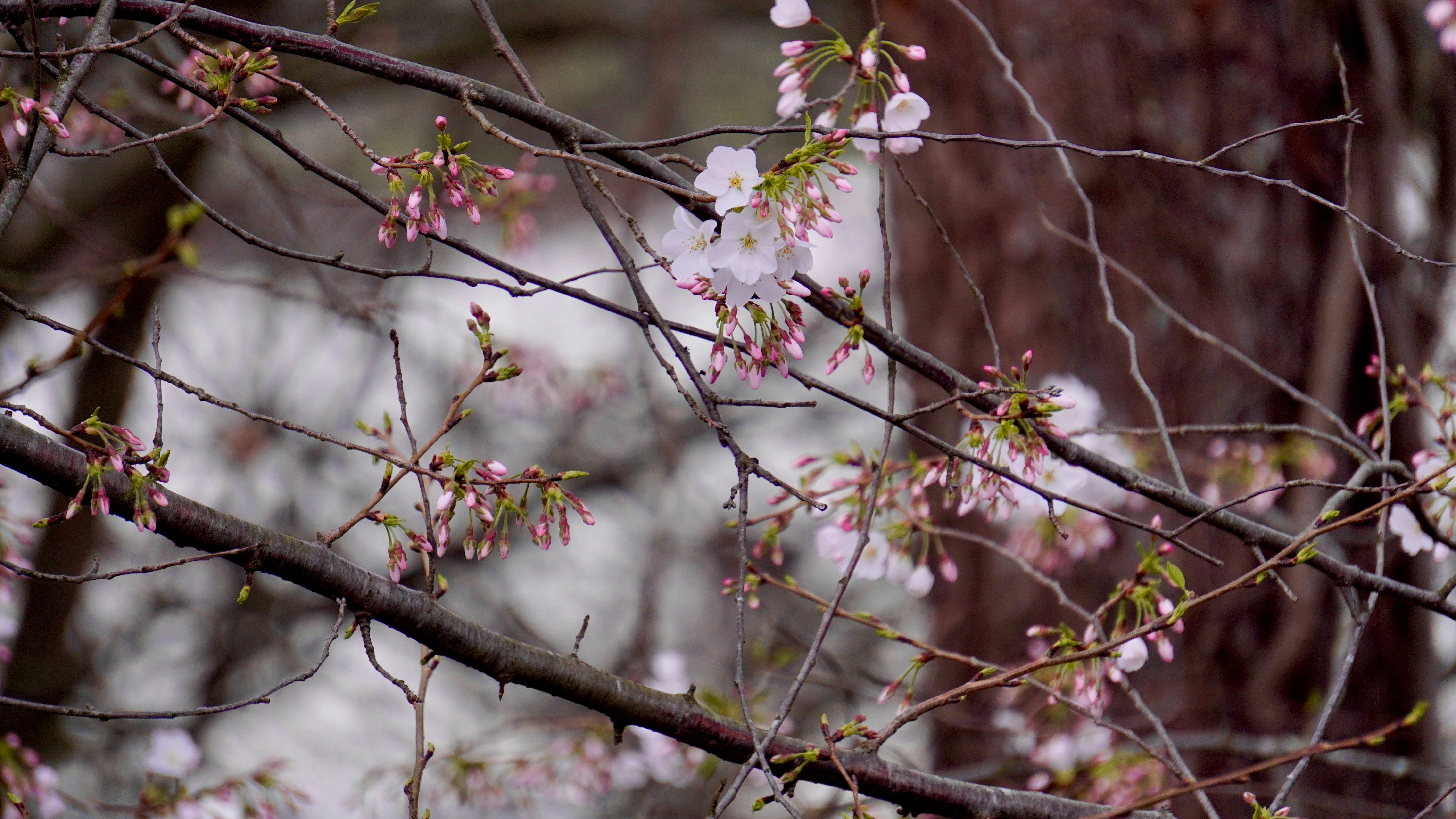 Photo by kouskkn