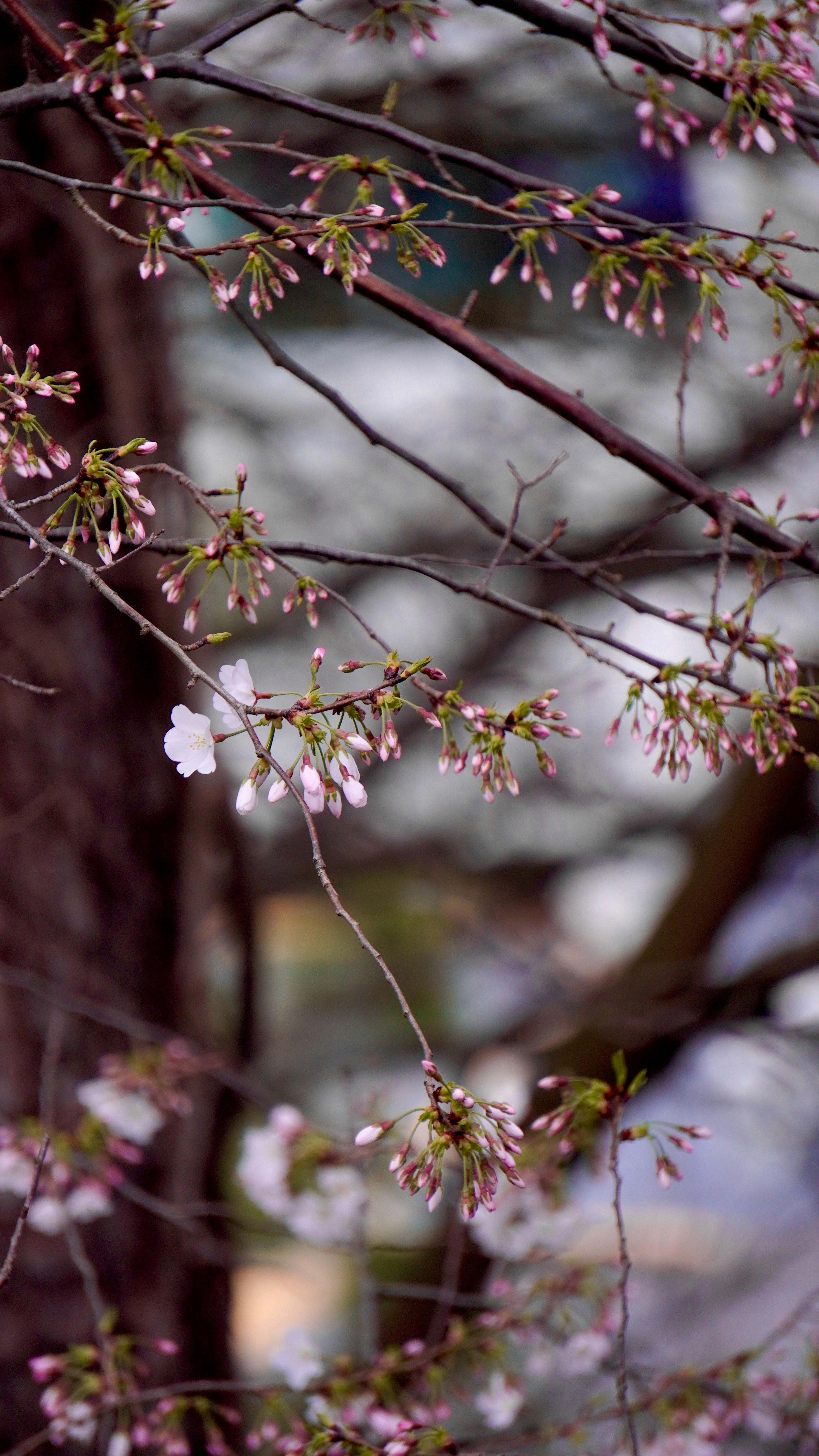 Photo by kouskkn