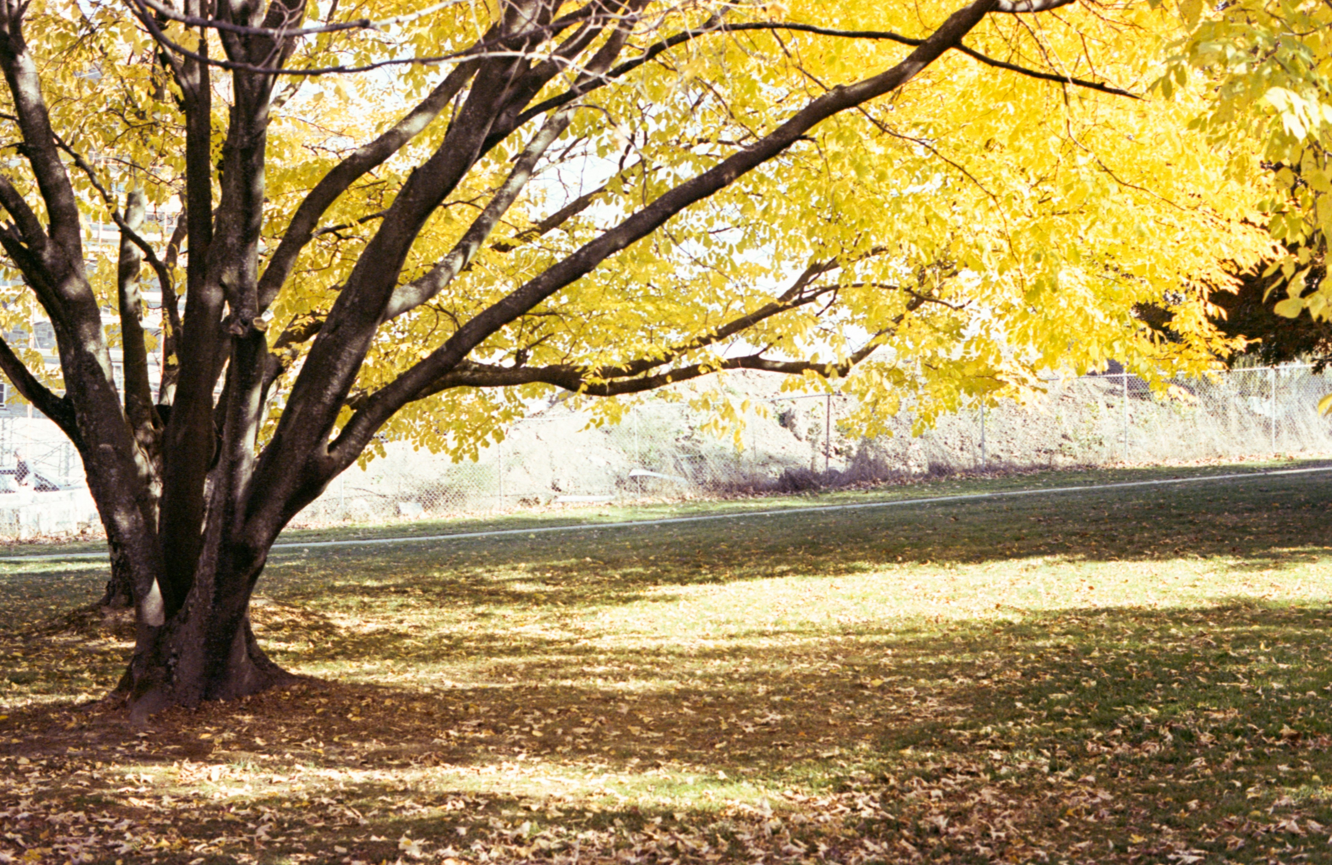 Photo by austin_7792