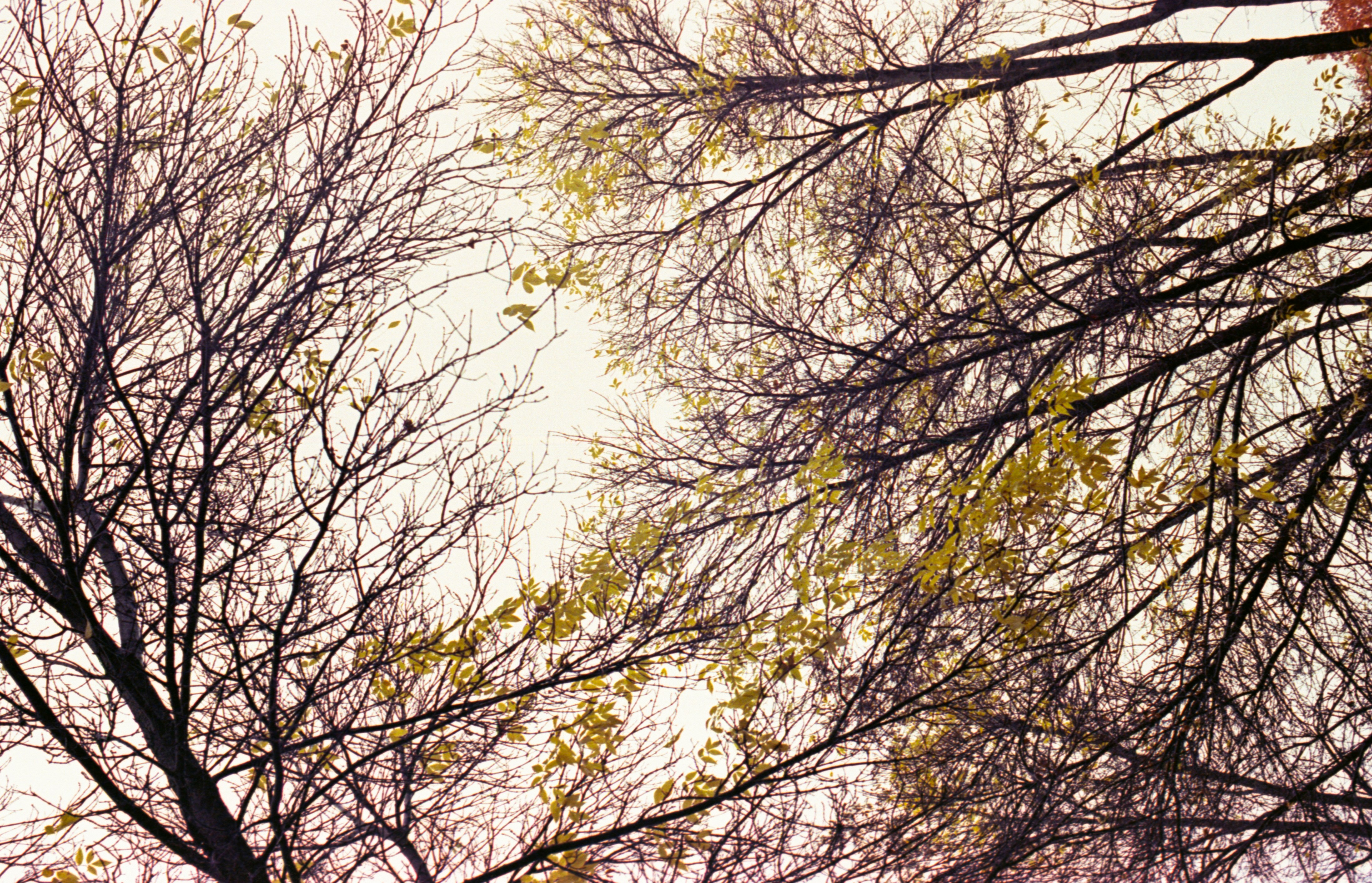 Photo by austin_7792