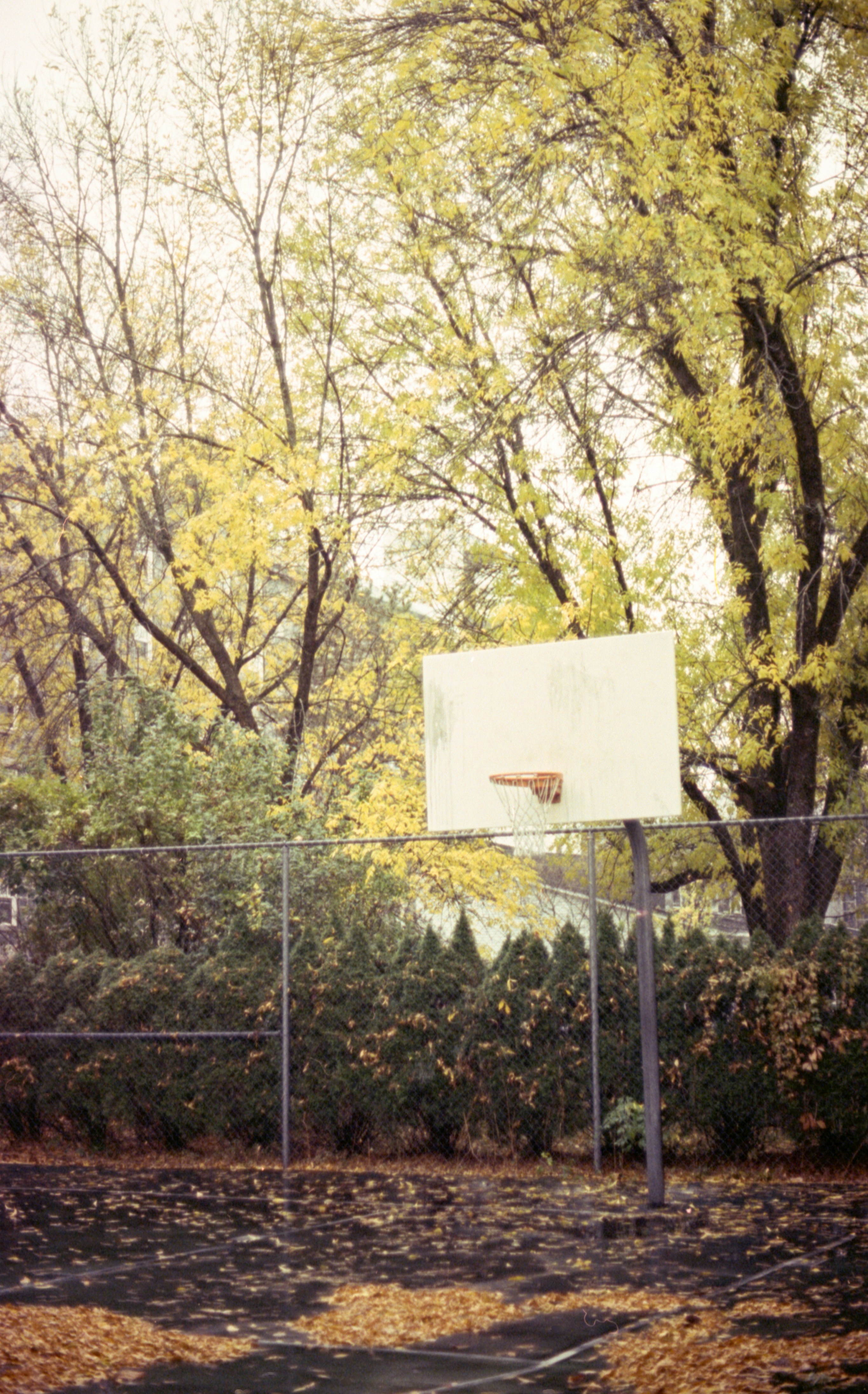 Photo by austin_7792